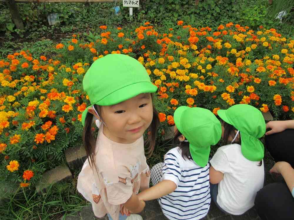素敵なお花！