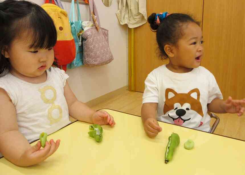 そら豆くんのふわふわベッドを発見！