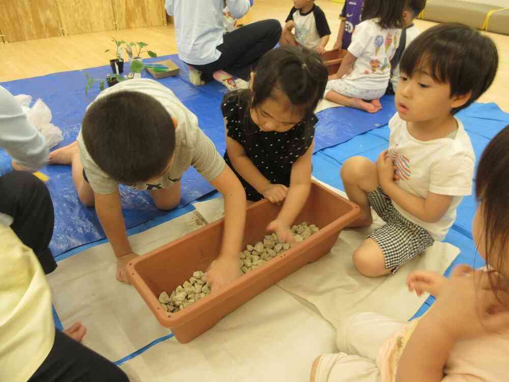 植えてみよう！