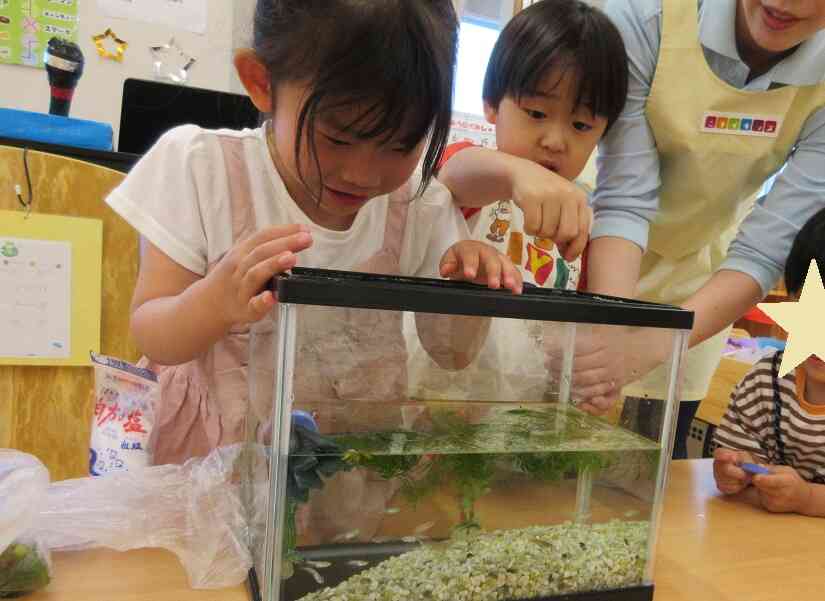 さっそく餌をあげよう！