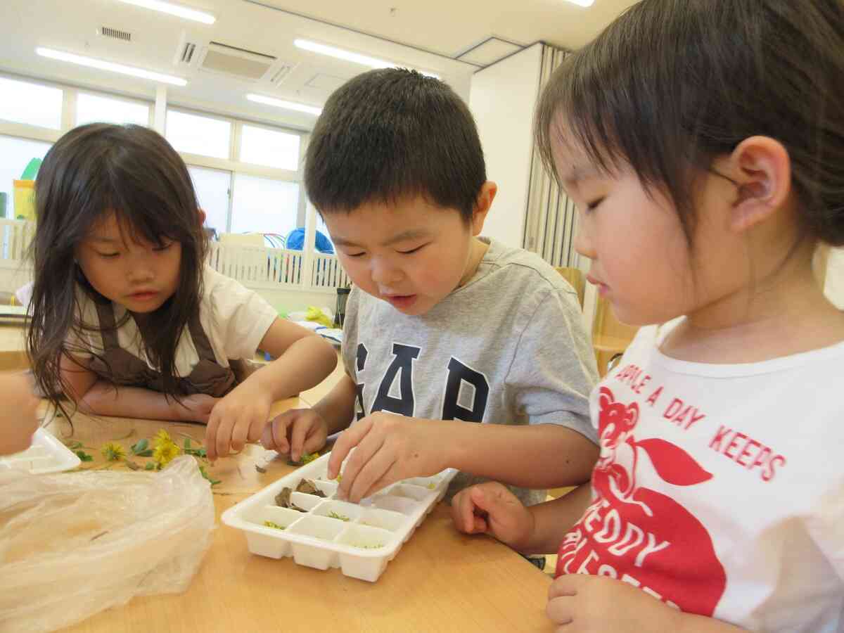 幼児組　お花を入れて氷を作ったよ☆