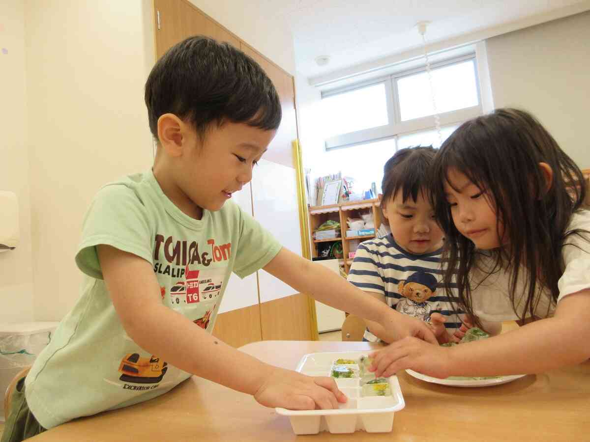氷ができたよ！実験大成功！