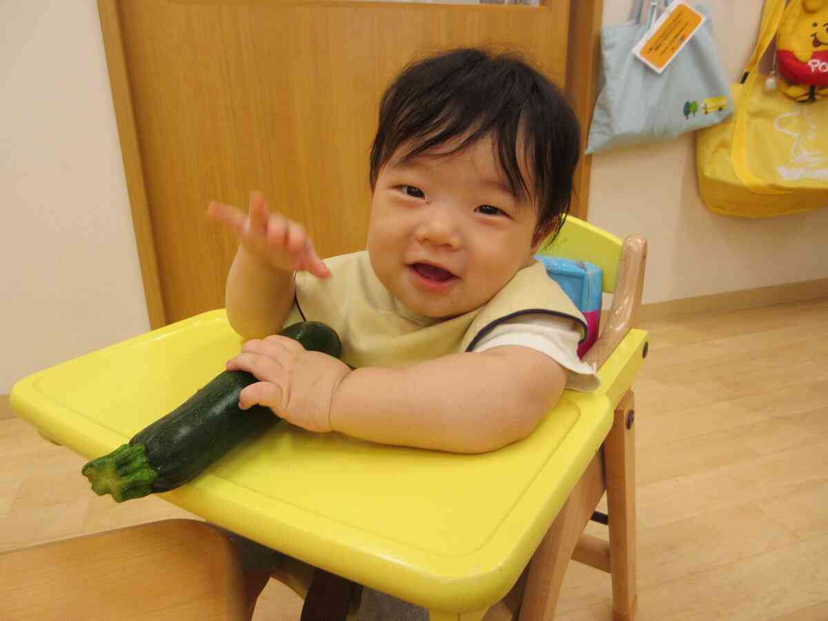 食育 夏野菜にふれよう(0.1.2歳児)