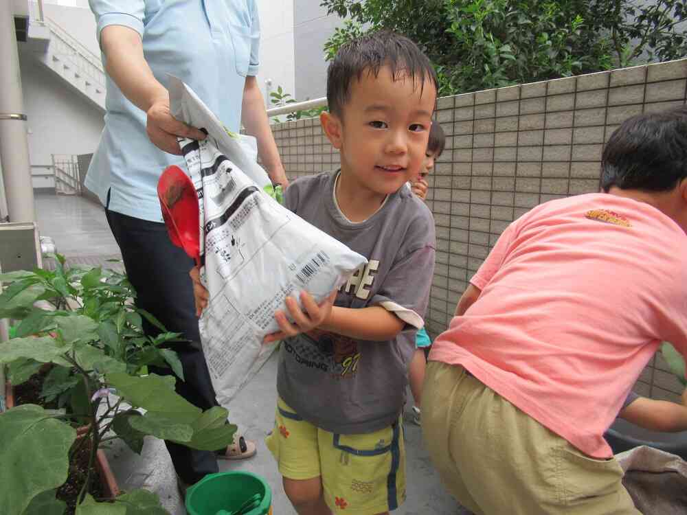 バケツ稲植え(3.4.5歳児)