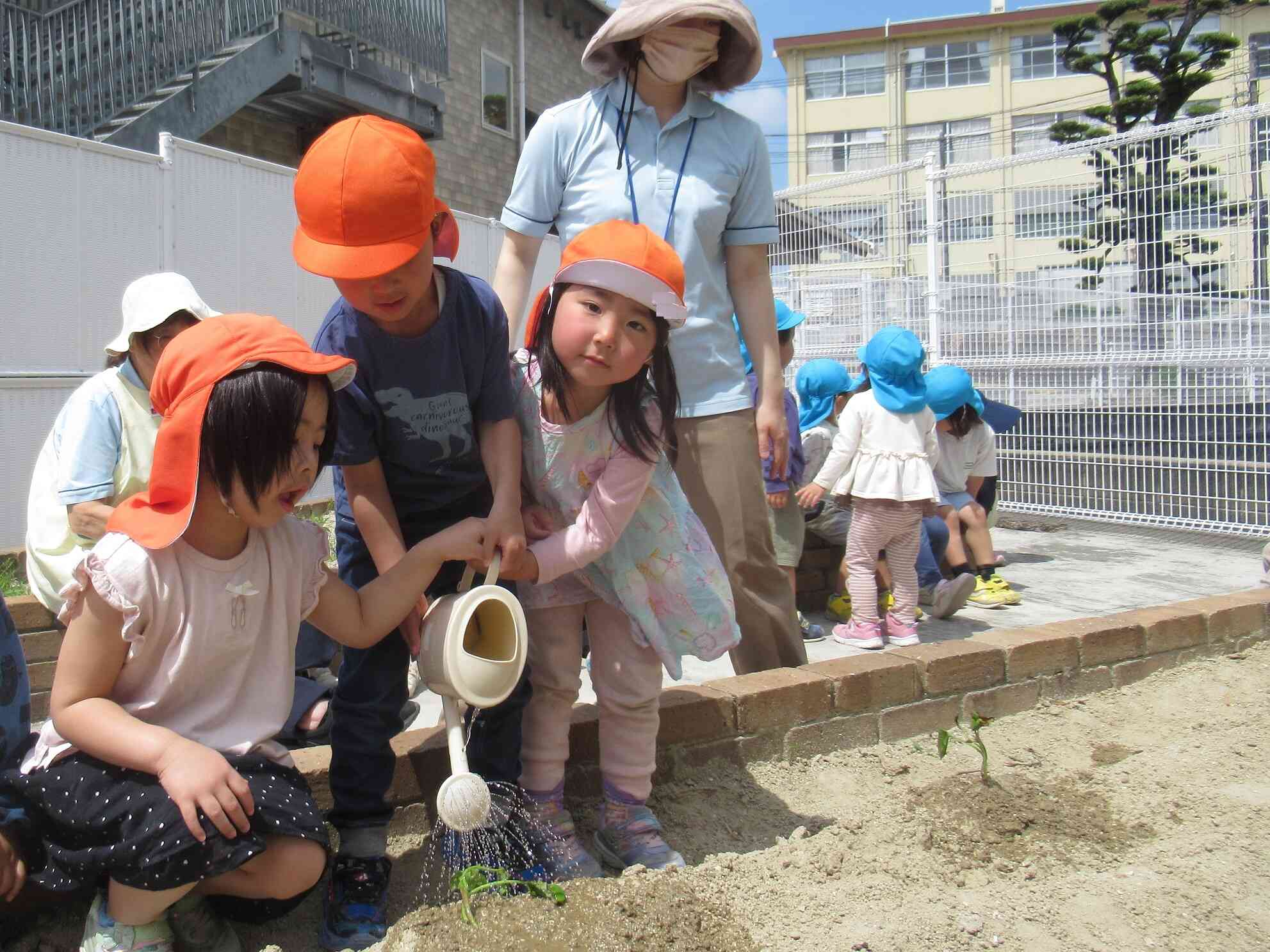 大きくなあれ、大きくなあれ♪