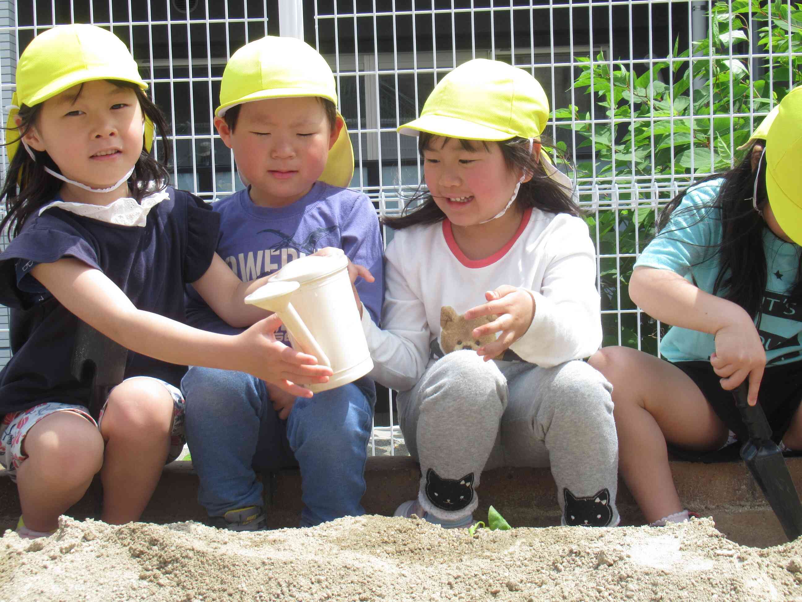 5月の食育　～苗植え～　きりん
