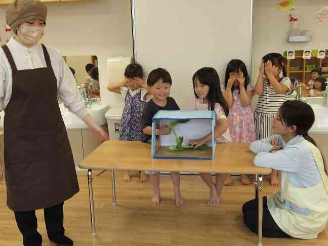 手を入れると…感触は…ちょっとドキドキするなぁ…でも面白い。何の野菜かな？