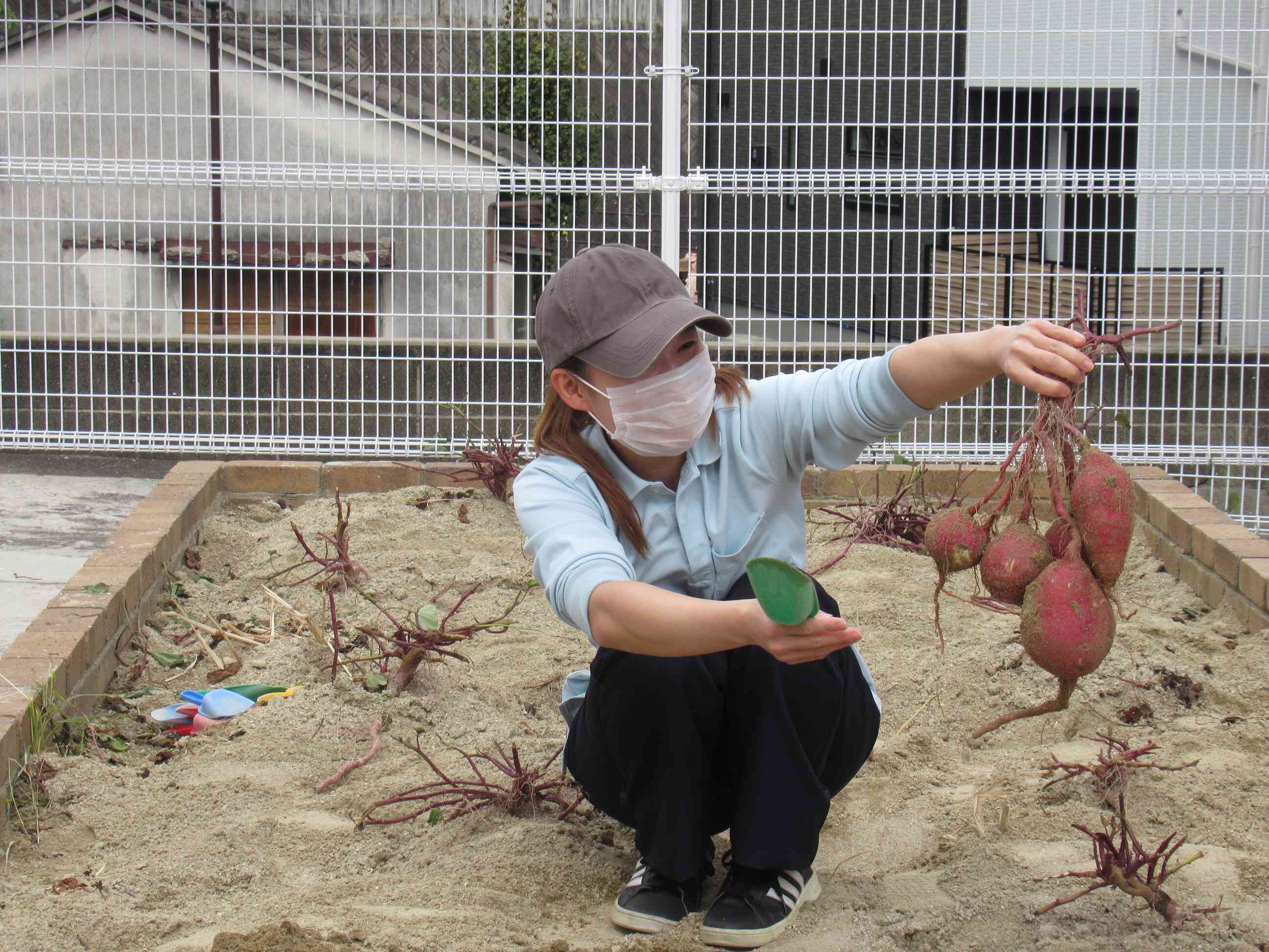 給食の先生が取り方を教えてくれました♪