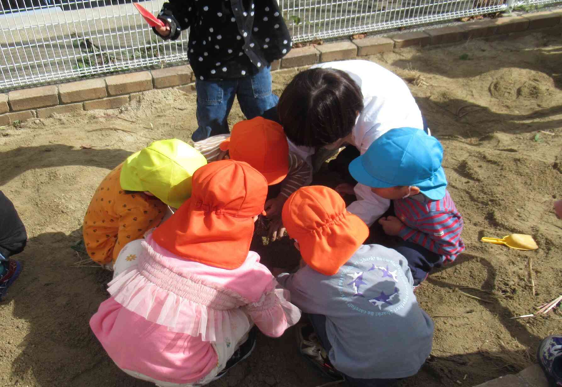 でてこい！でてこい！