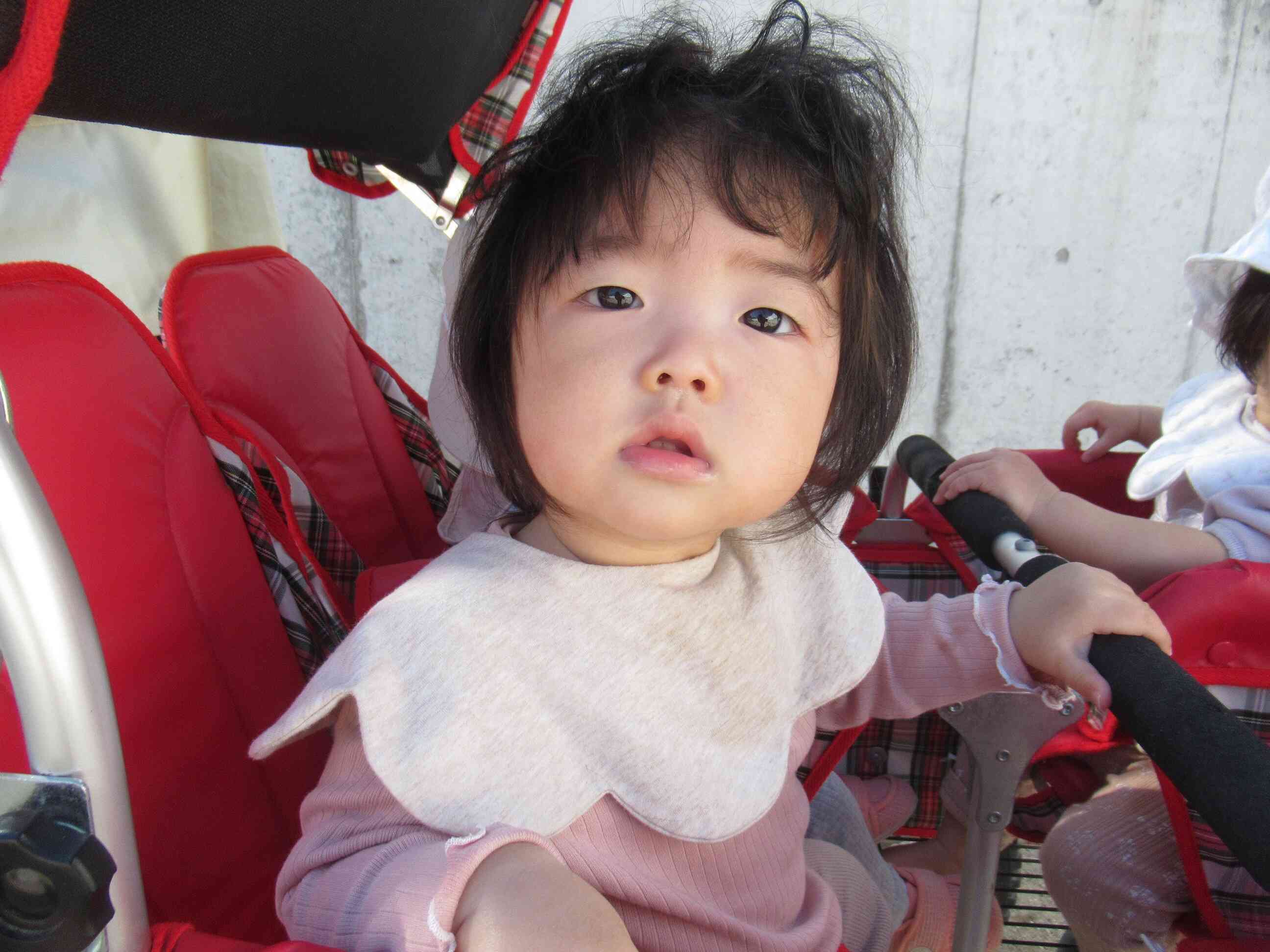 11月　献立表（中期食）