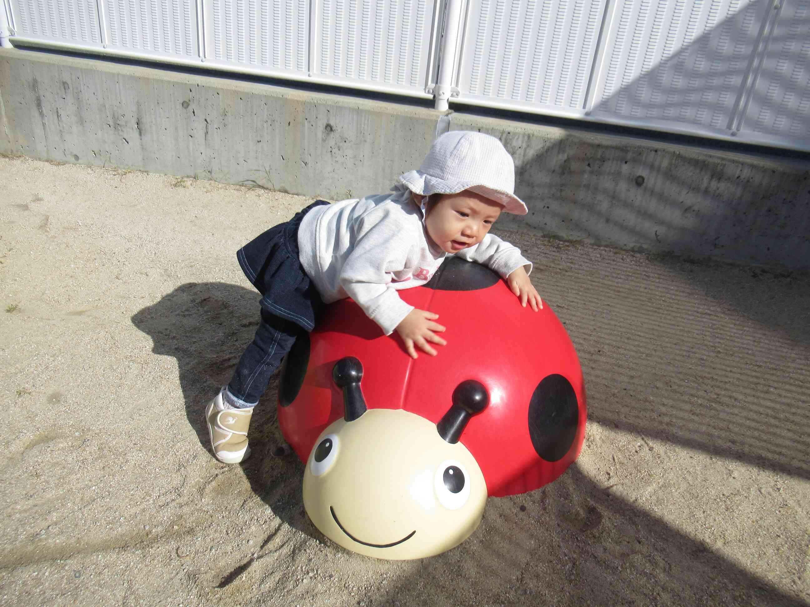 わたしも乗せて！