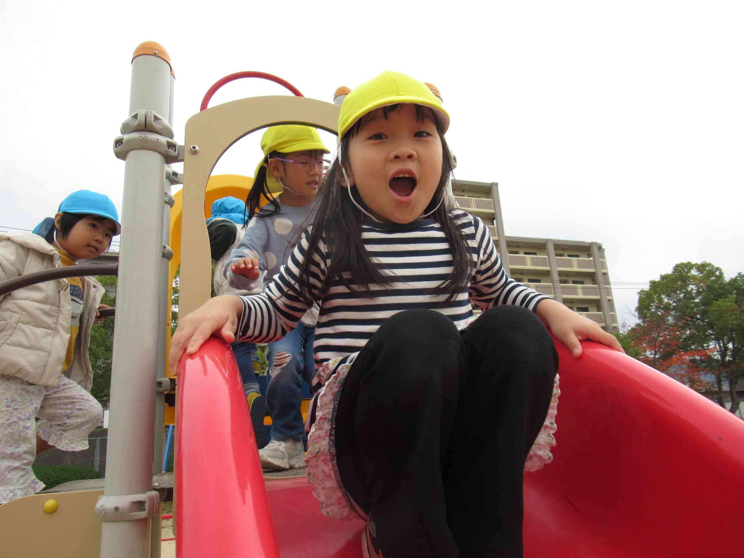 近くの公園に散歩に行きました♪定期的に遊びに行っていますよ！！