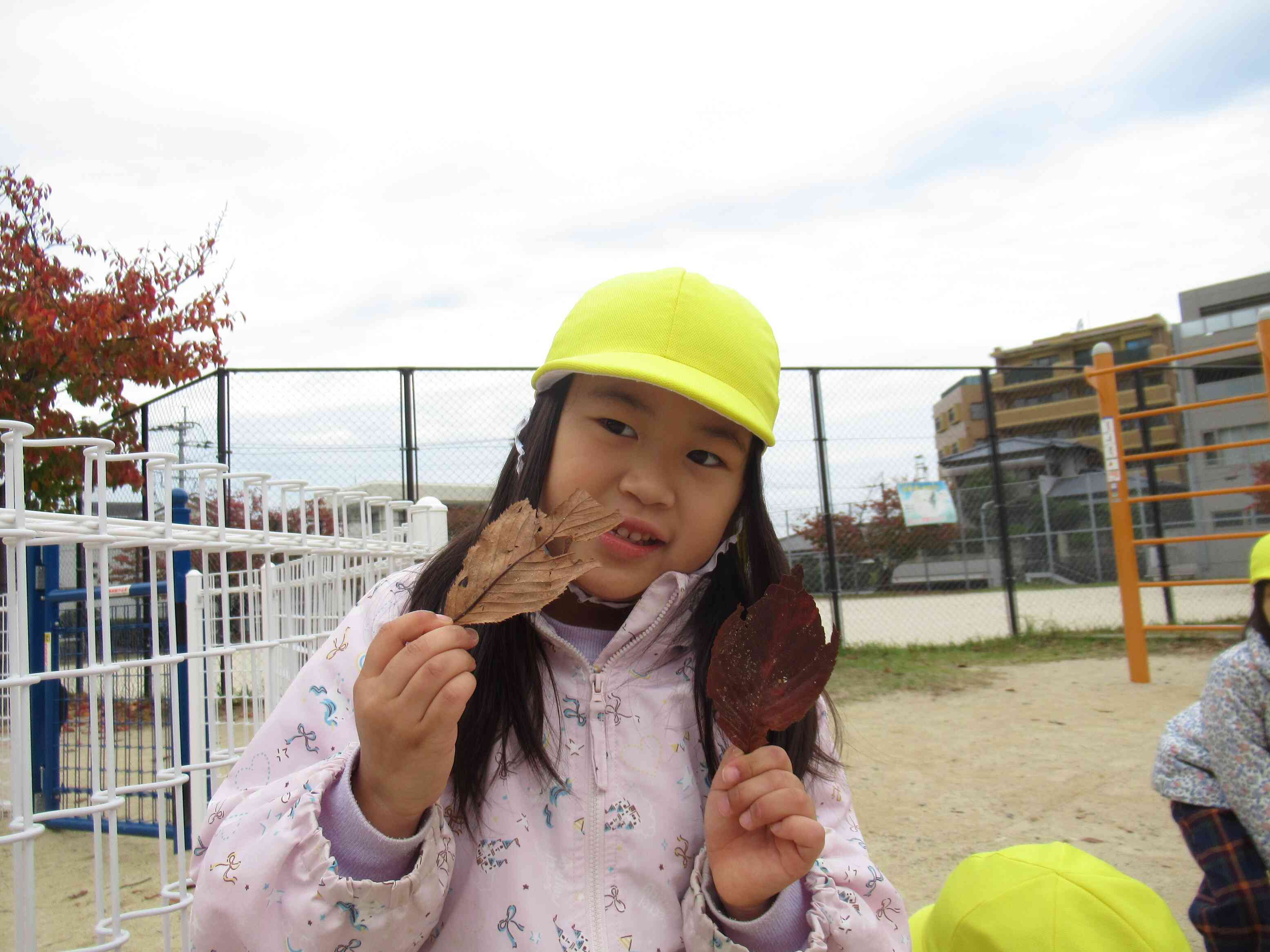 落ち葉を拾ったよ