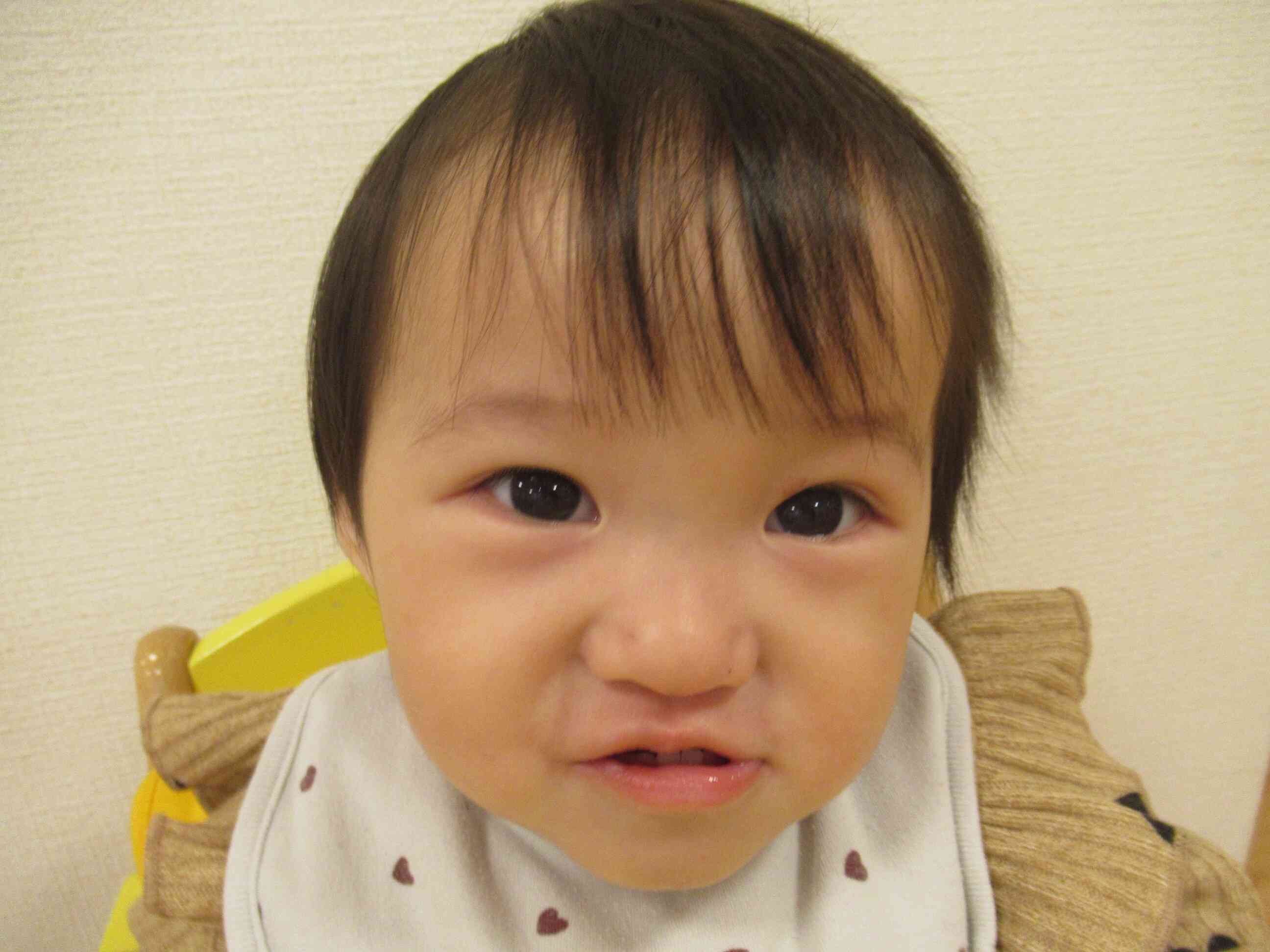 12月　献立表　（完了食）