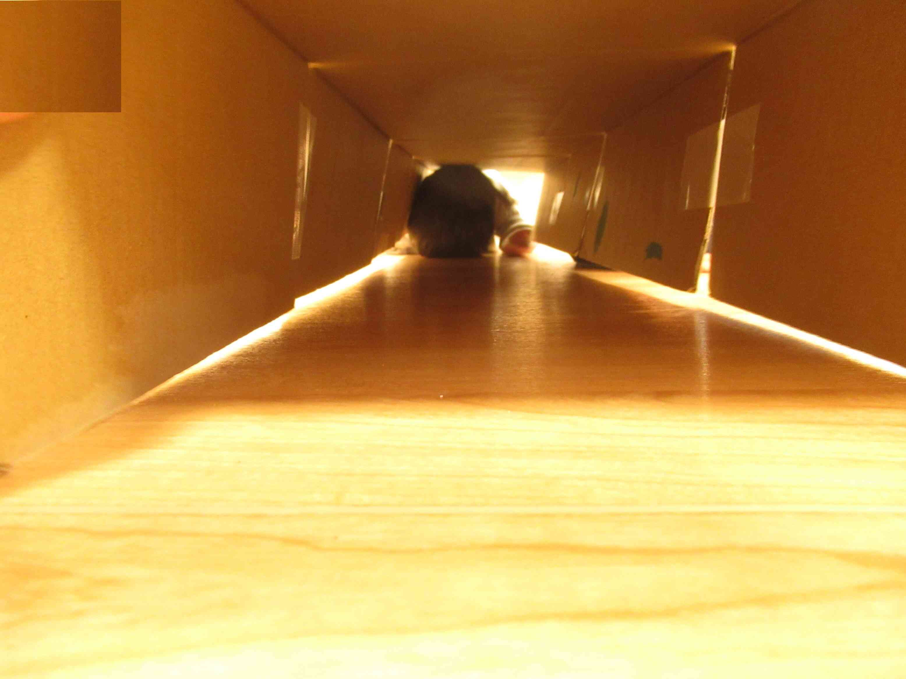 トンネル　くぐりまーす！！