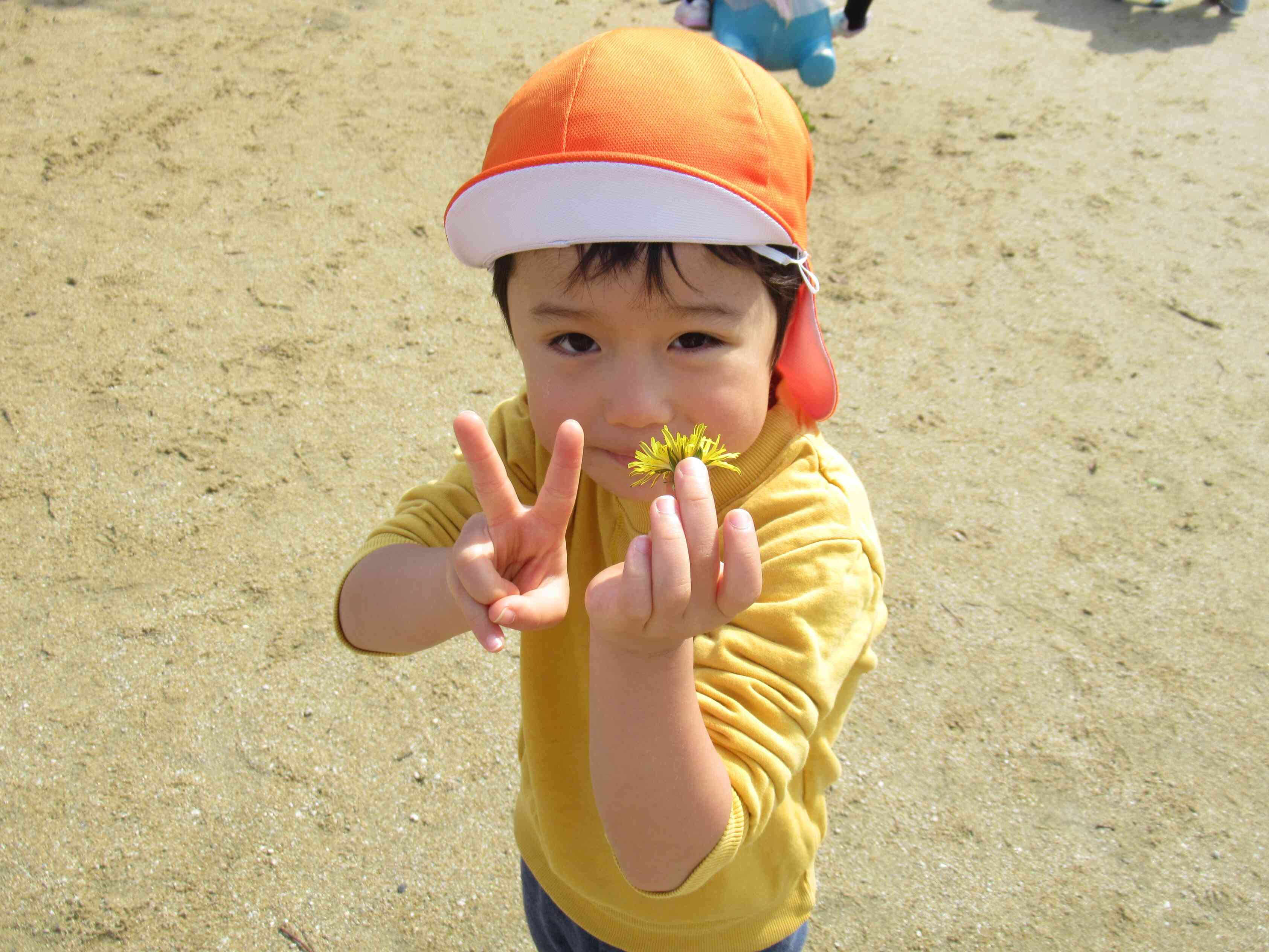 たんぽぽみつけたよ！