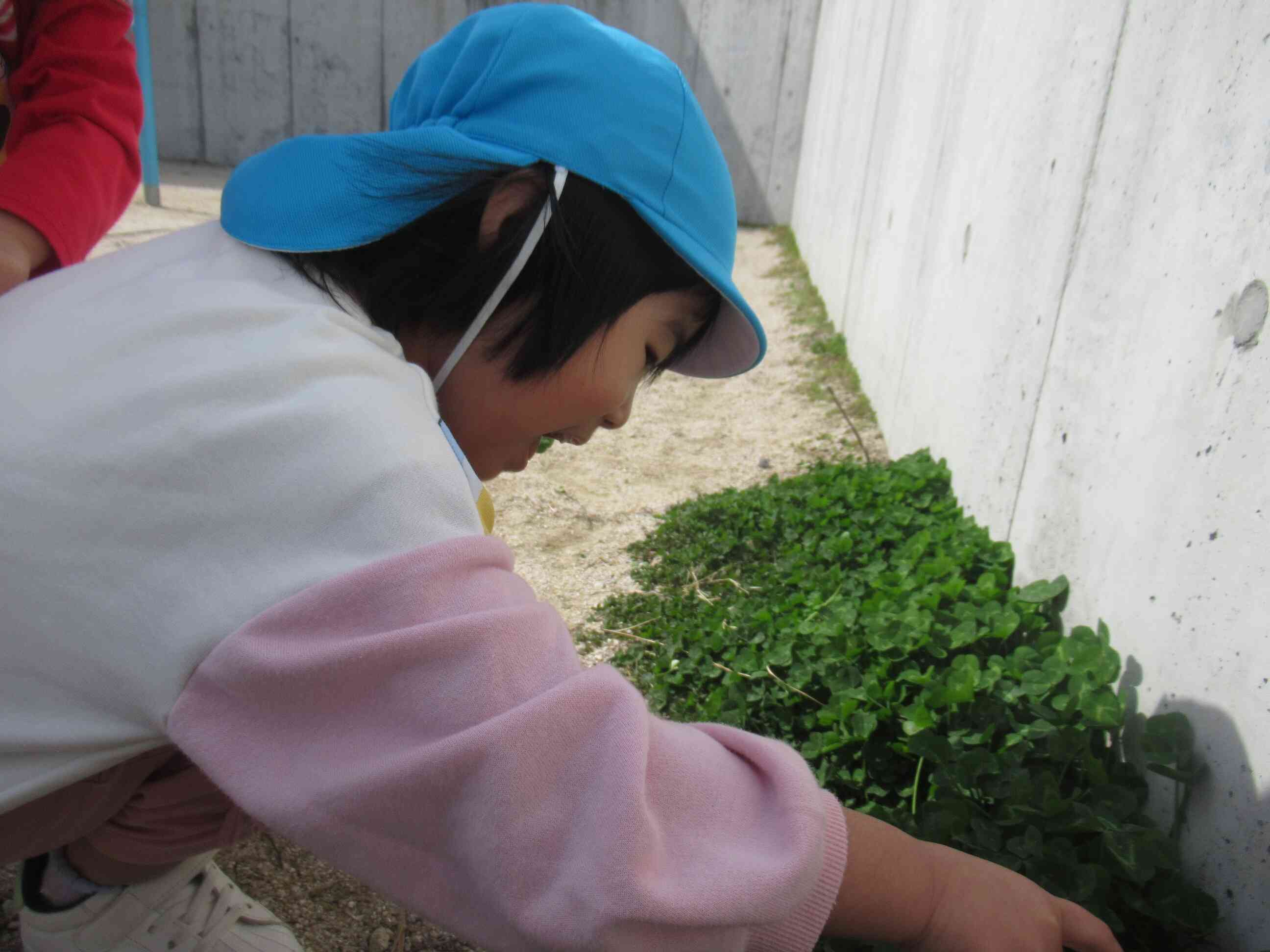 虫さんいるかな～？