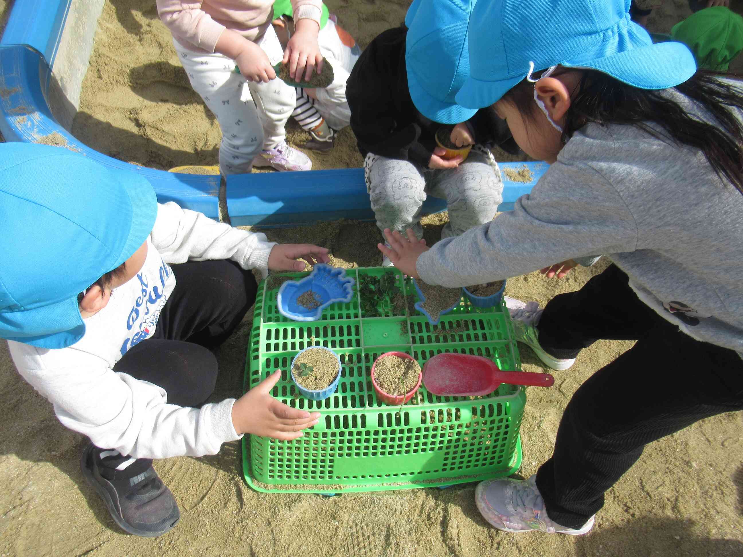 いらっしゃいませー！なにがいいですかー？