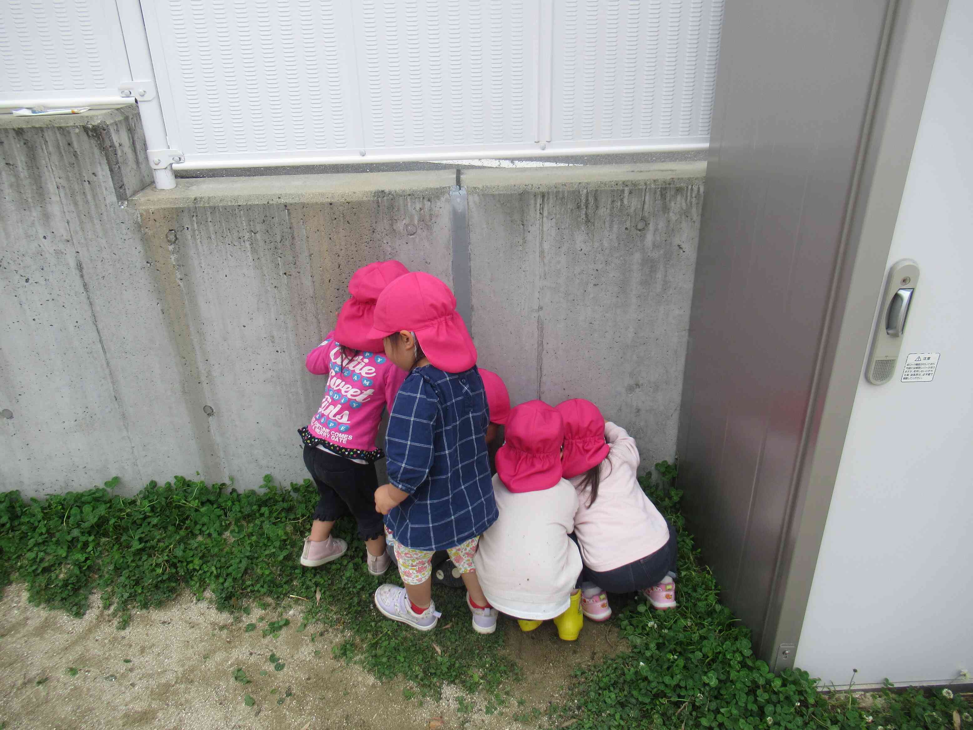 何があるかな？