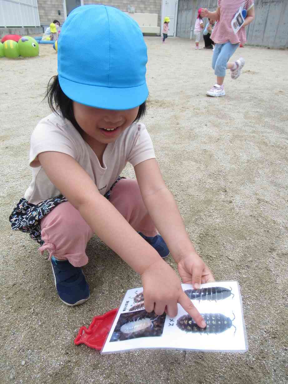 女の子のダンゴムシだった～！