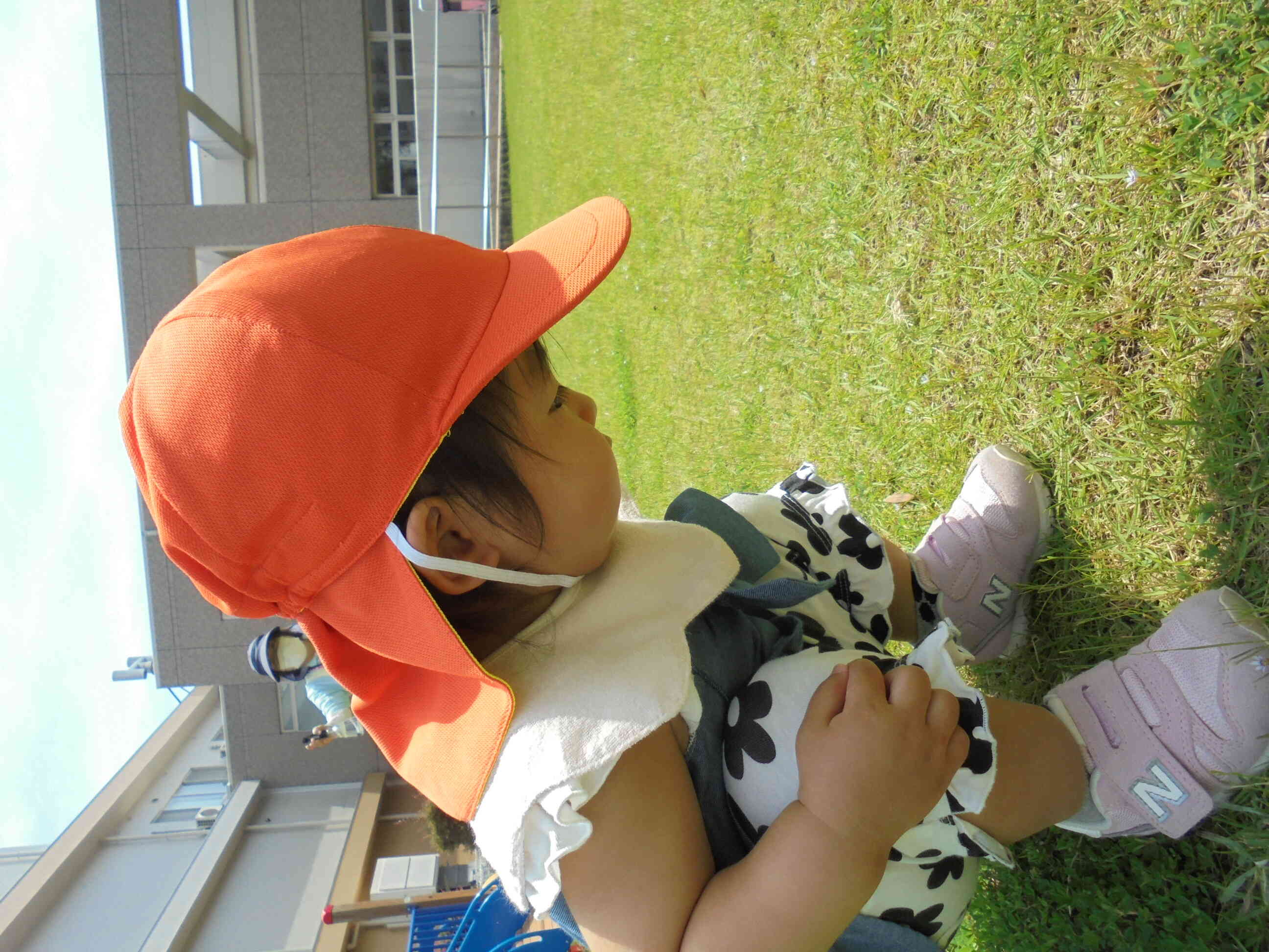 小さいお花み～つけた！