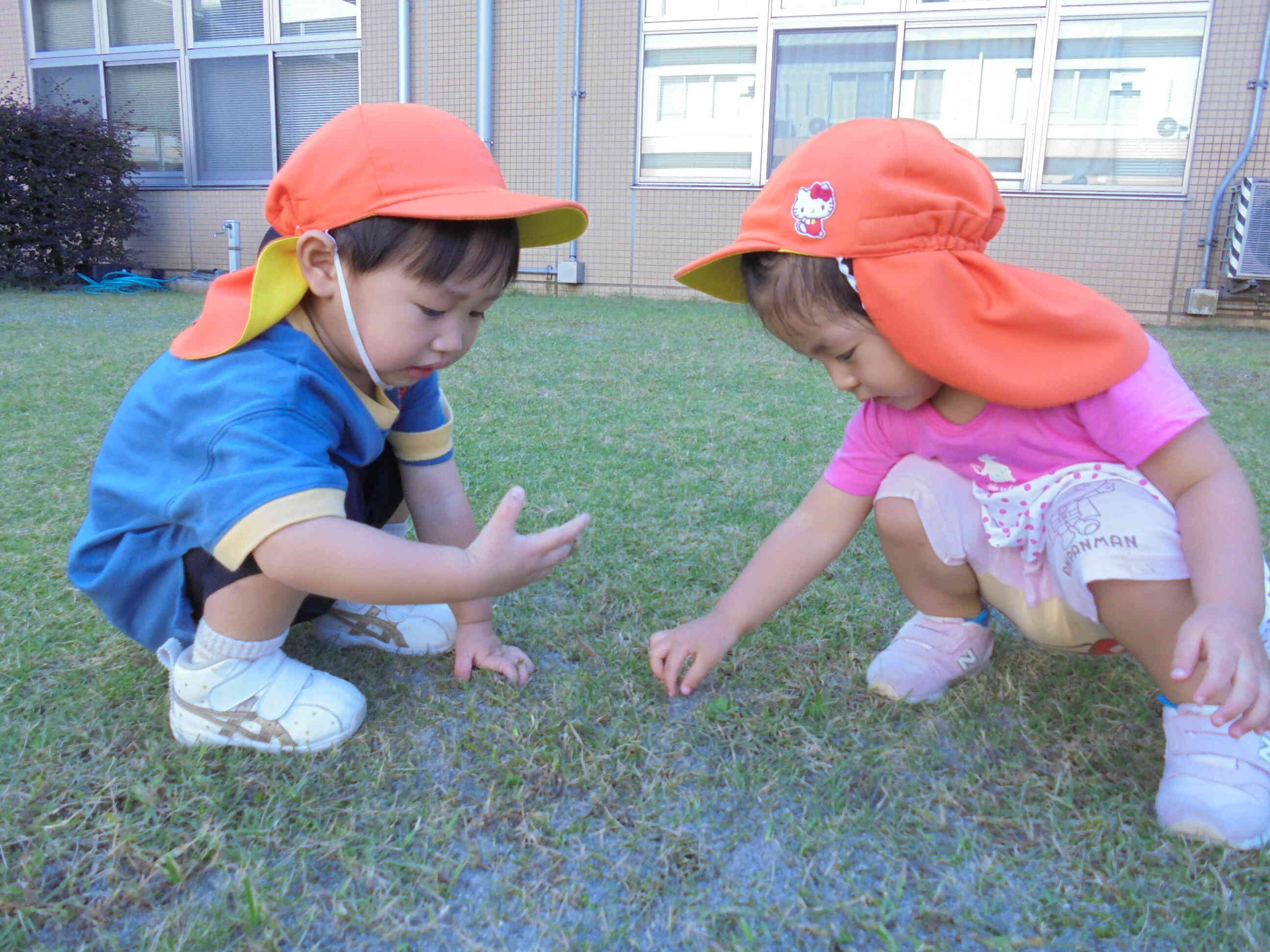 お外で遊ぶの楽しいね