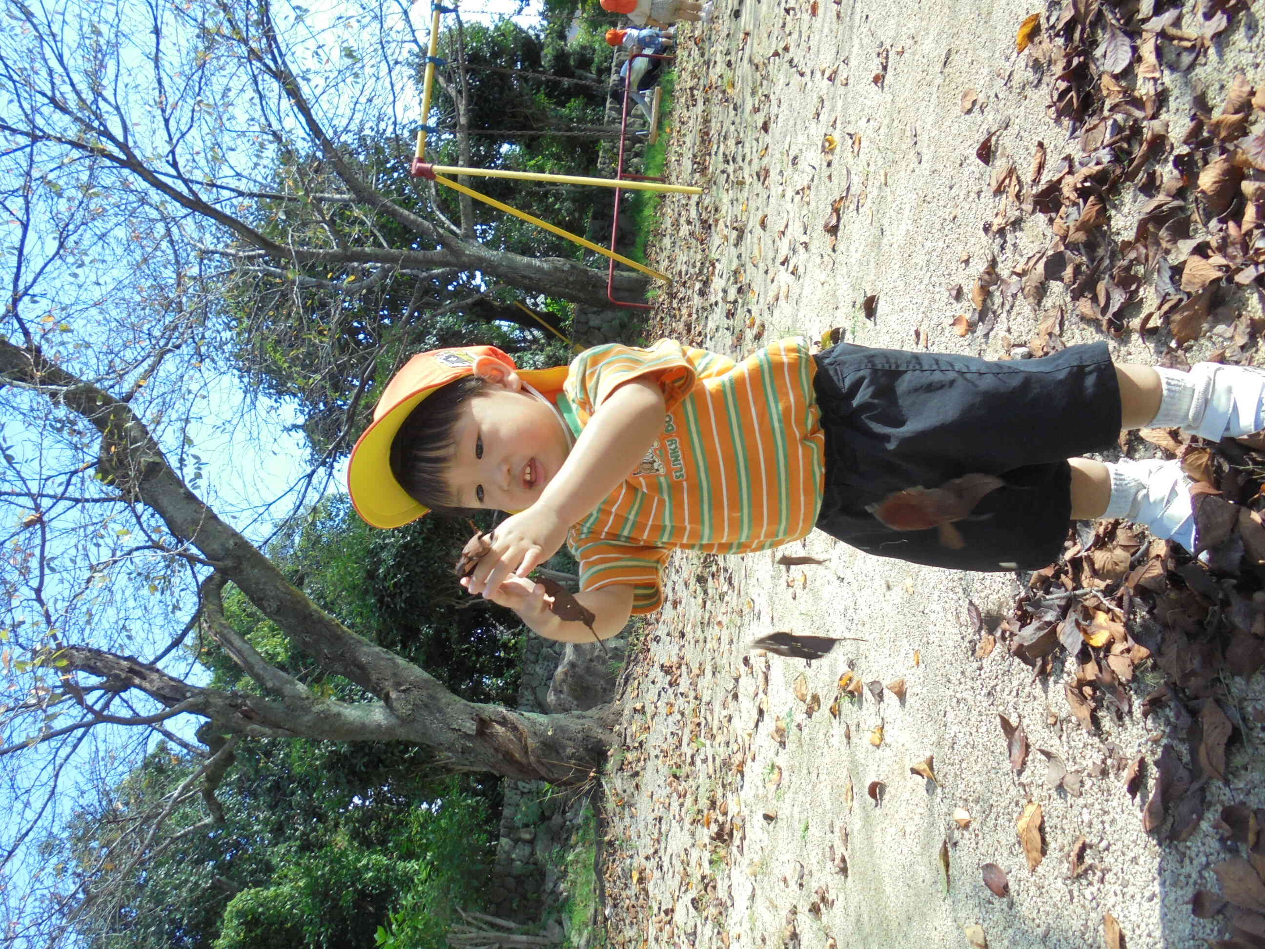 ぱらぱら、、、ひらひら、、、