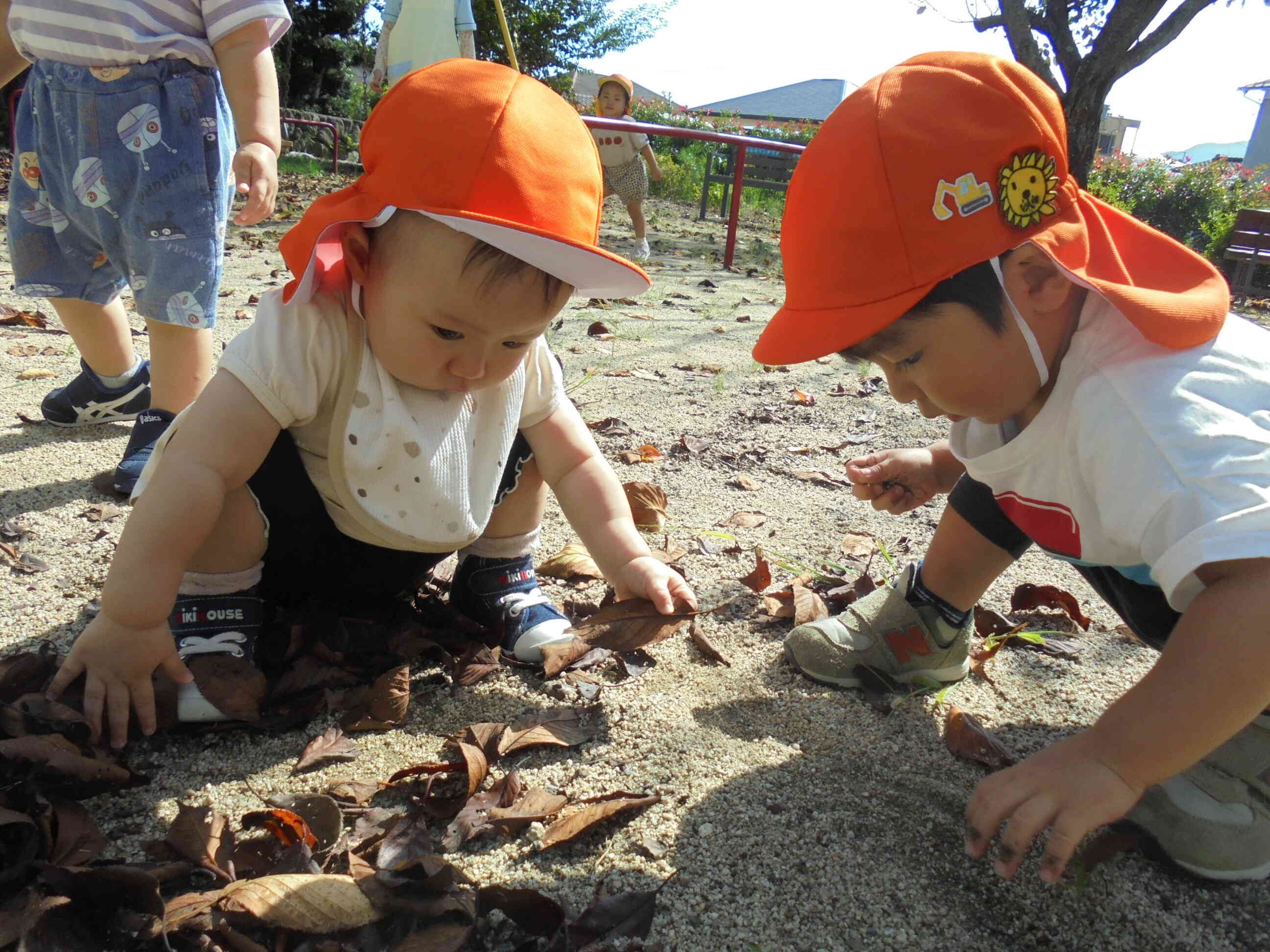 どれにする？？