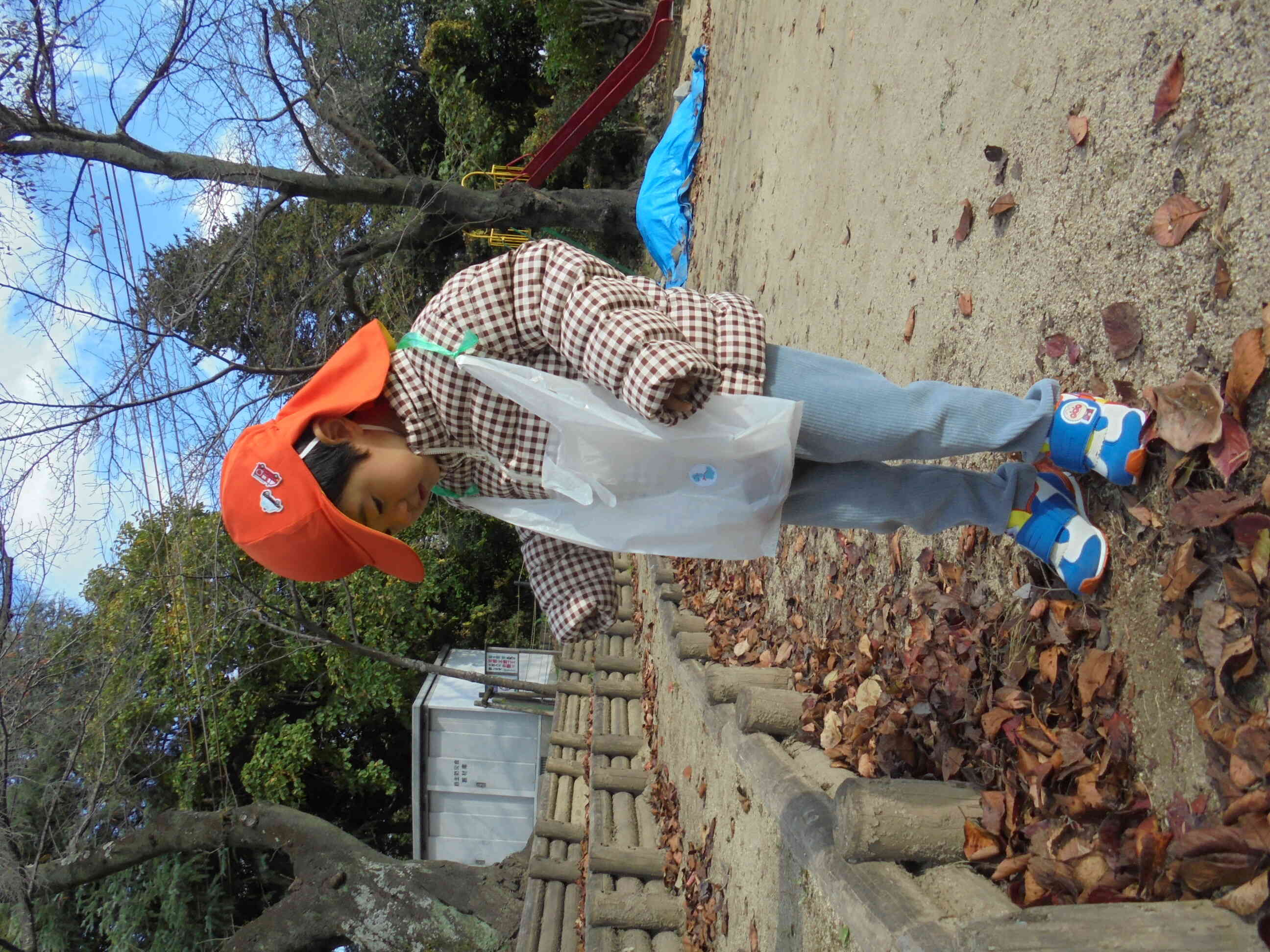 え～っと　どの葉っぱがいいかな？