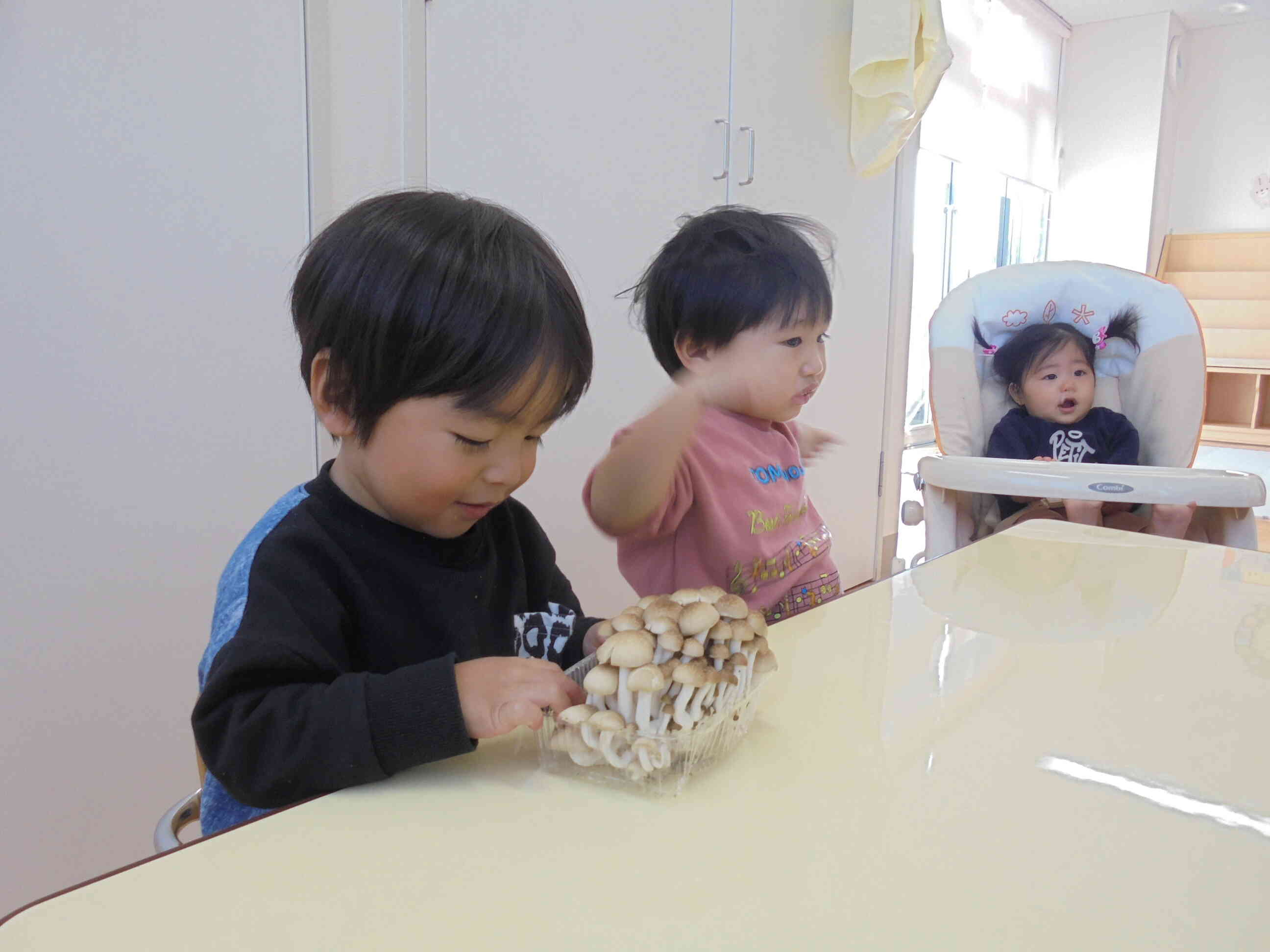 しめじに触ってみたよ！