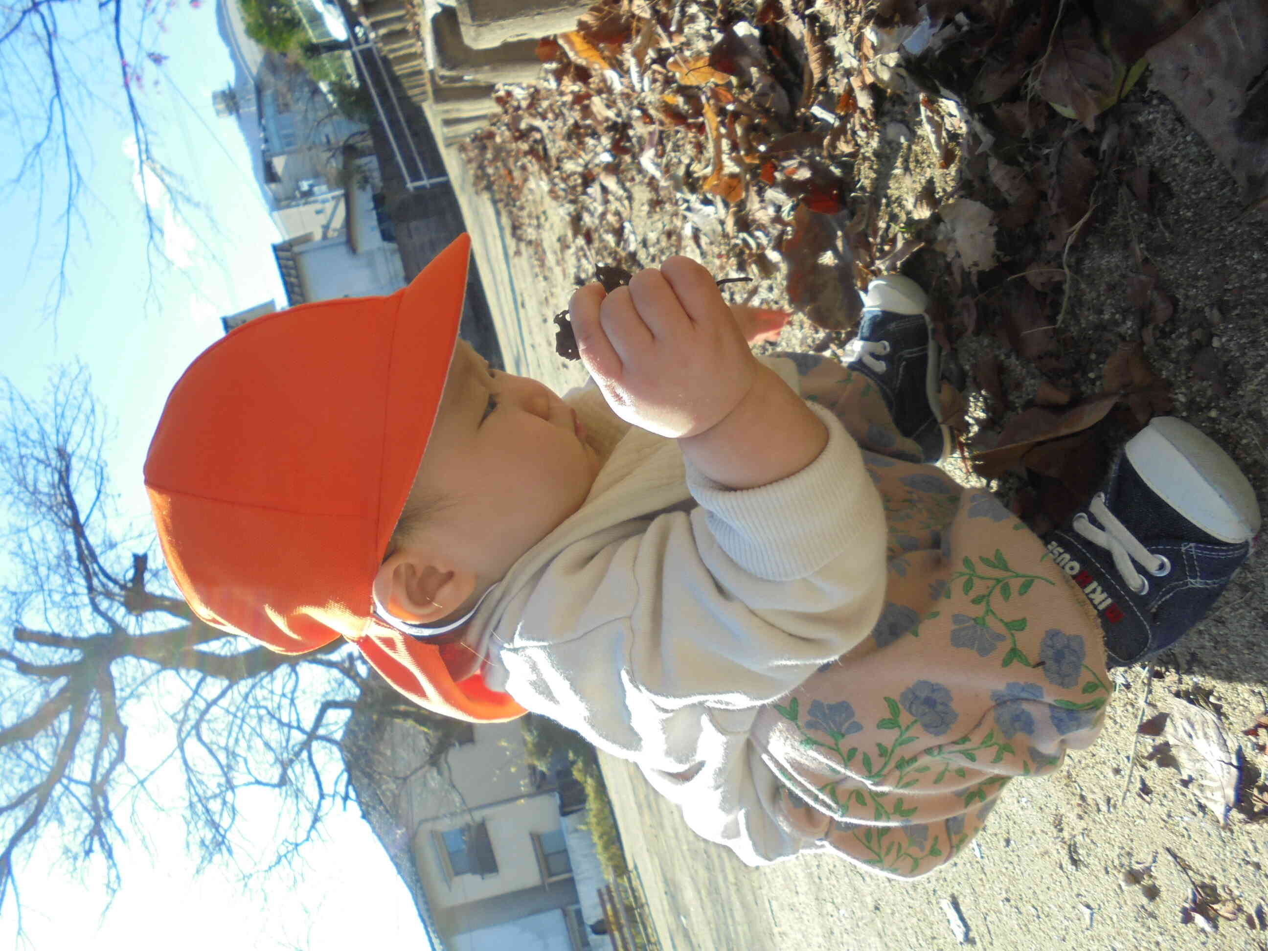 公園で何を見つけたのかな？