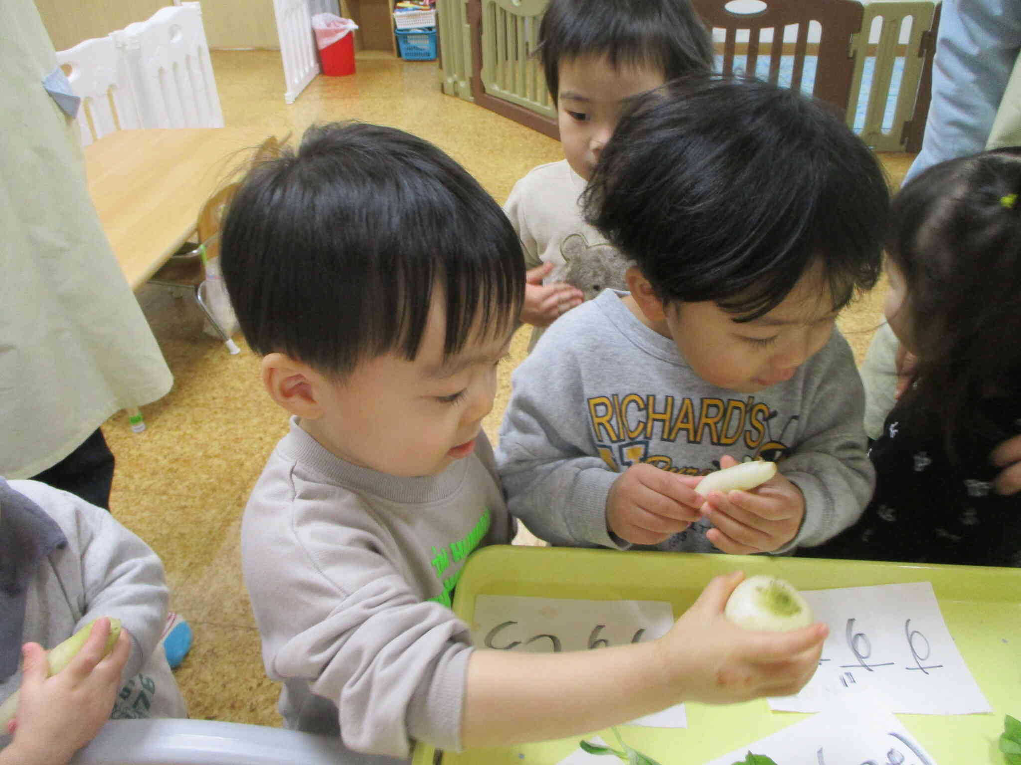 すずな？すずしろ？　これってカブと大根よね？