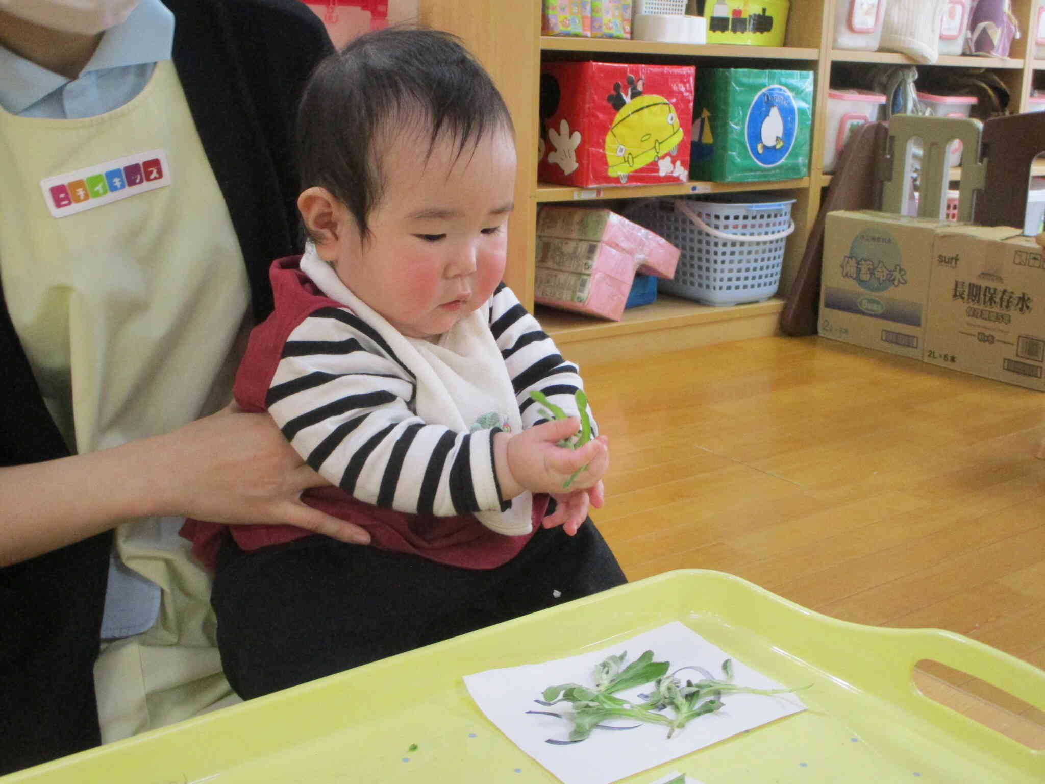 これが食べれるの？