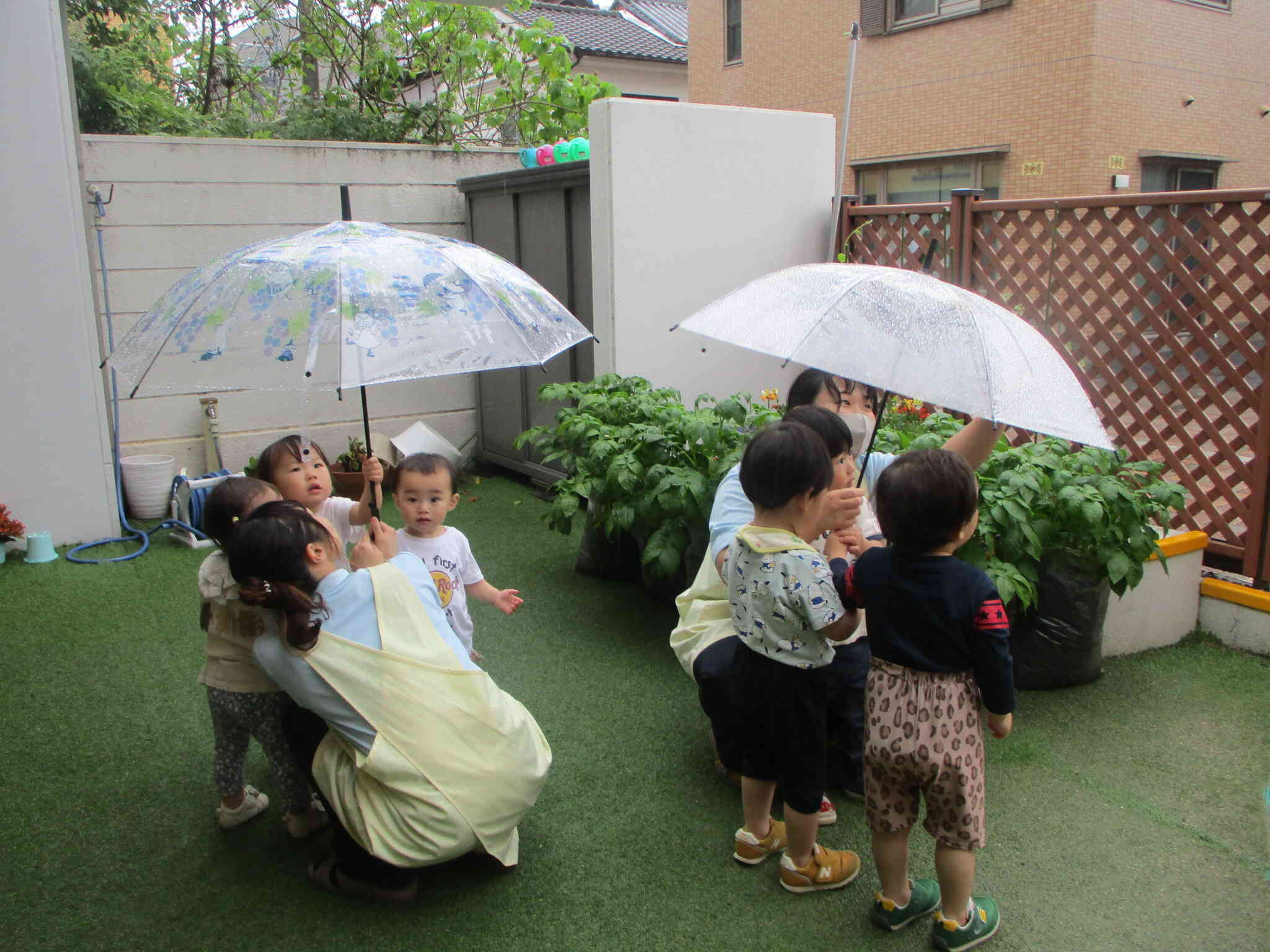 雨降ってる