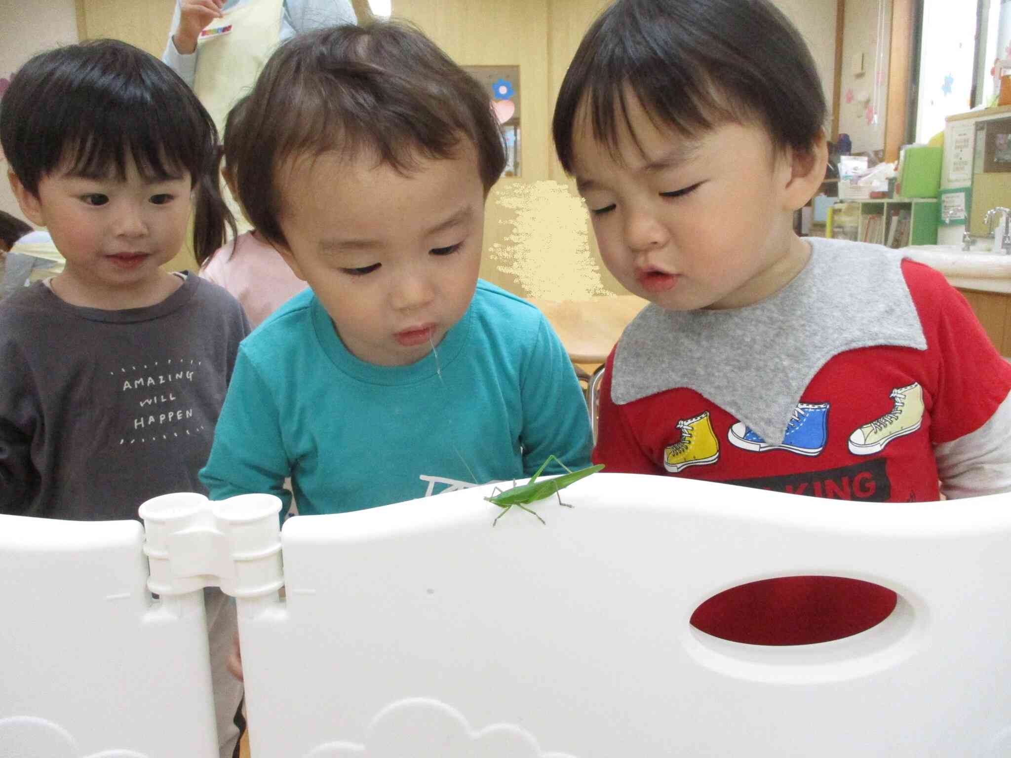 不思議な生き物