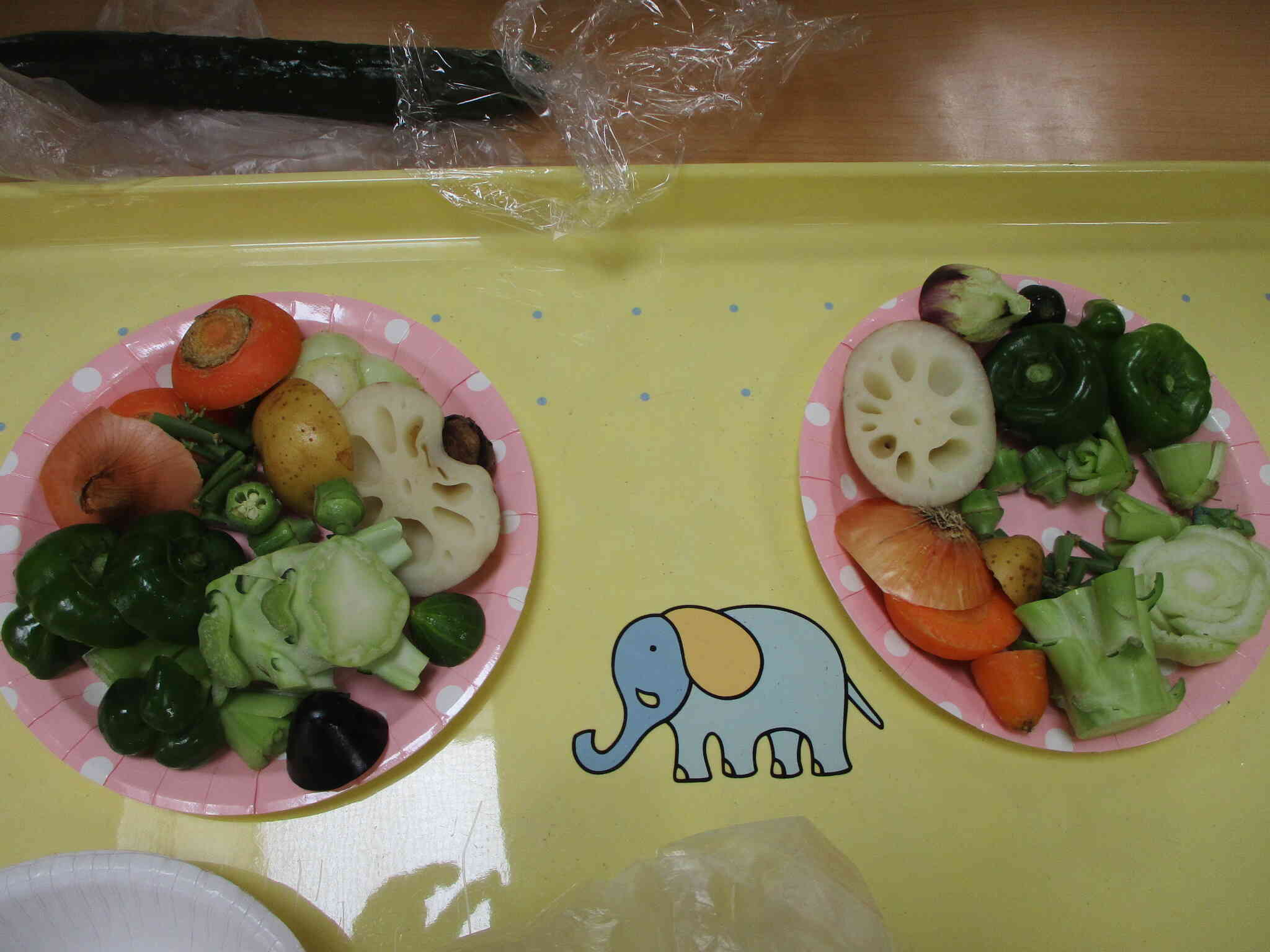 今回使用した野菜です