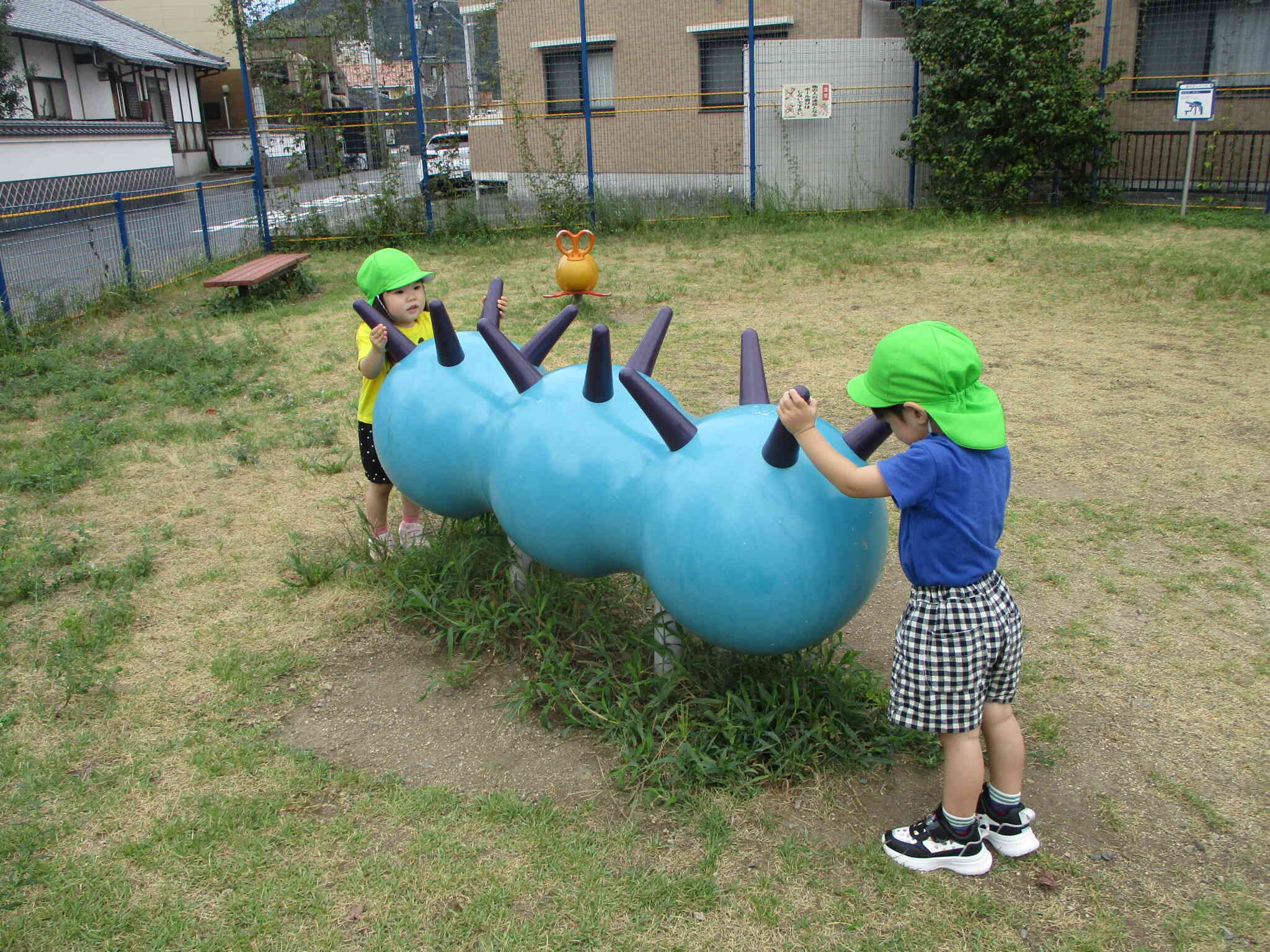 今日の散歩