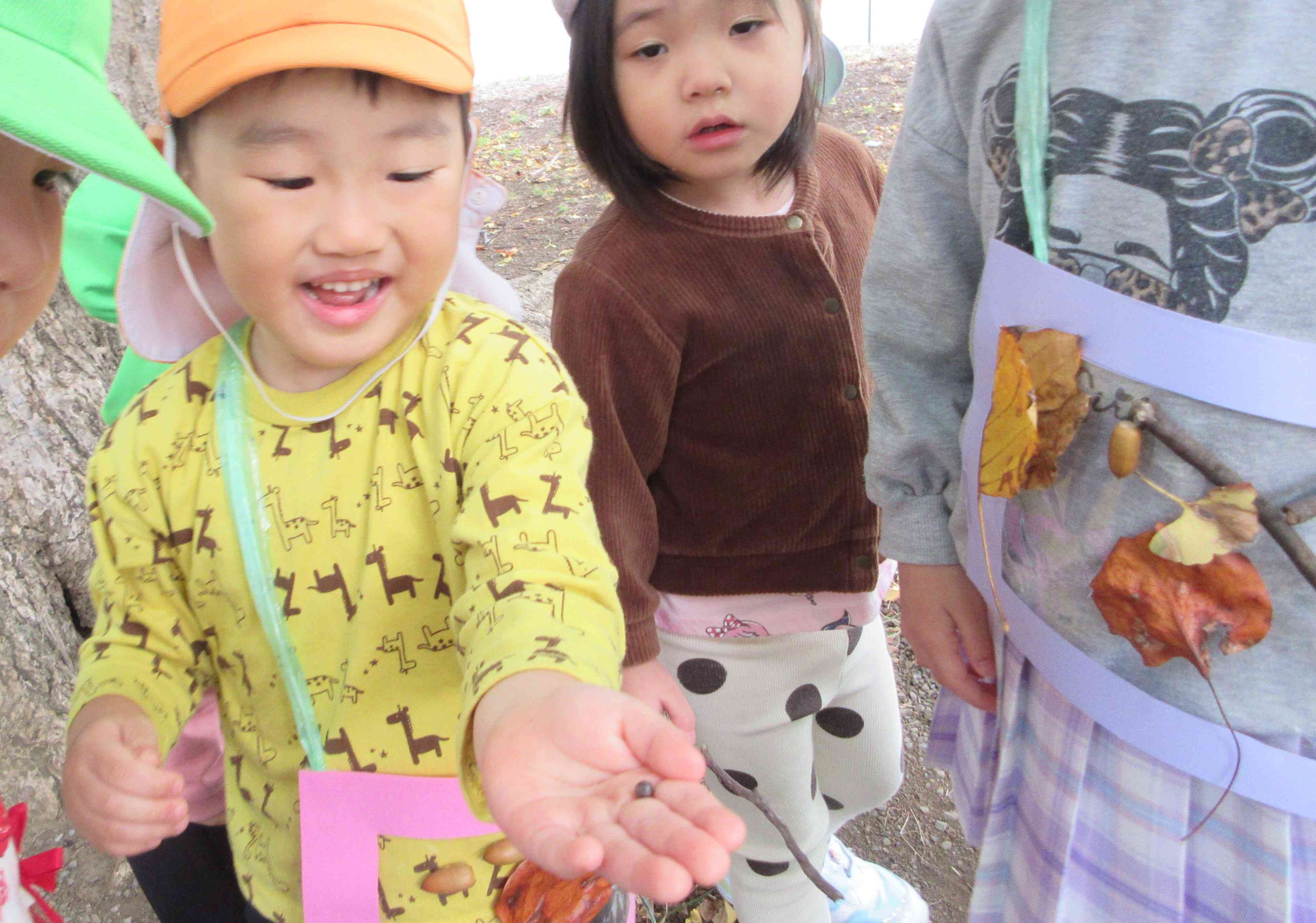 コロッと丸くなっているのは、、、？