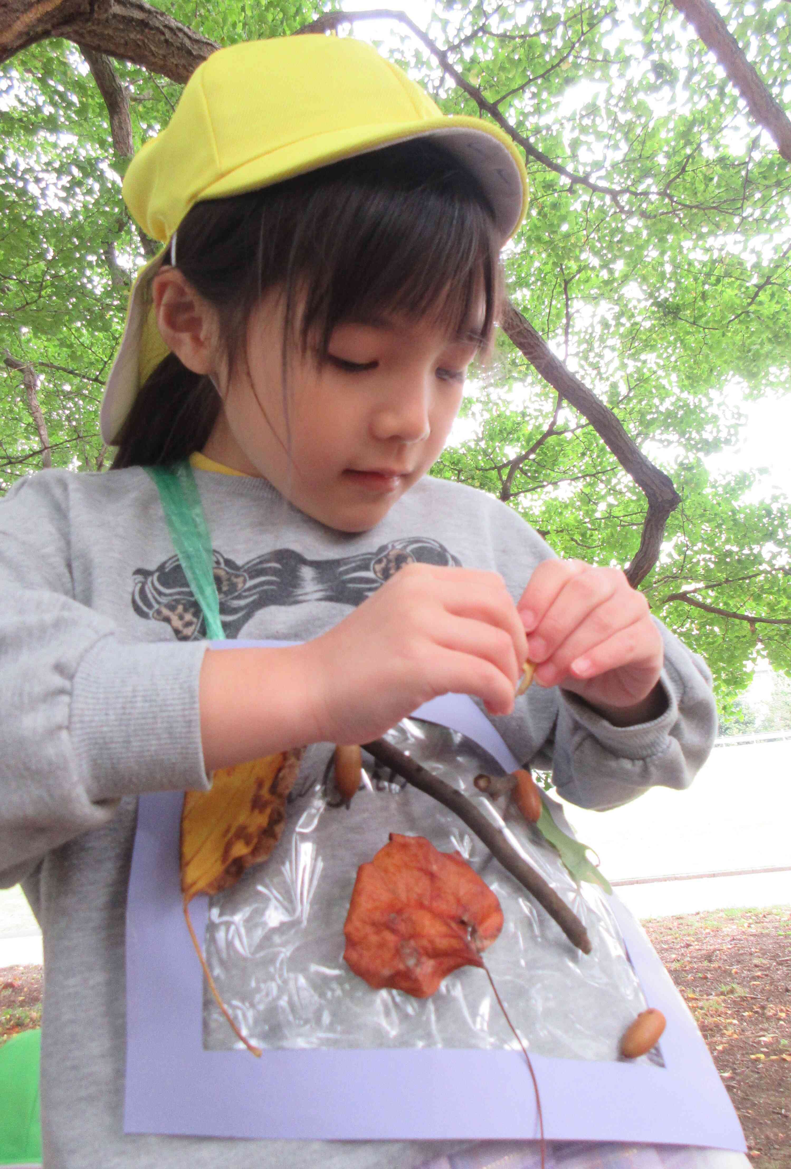 好きな落ち葉をぺったん。