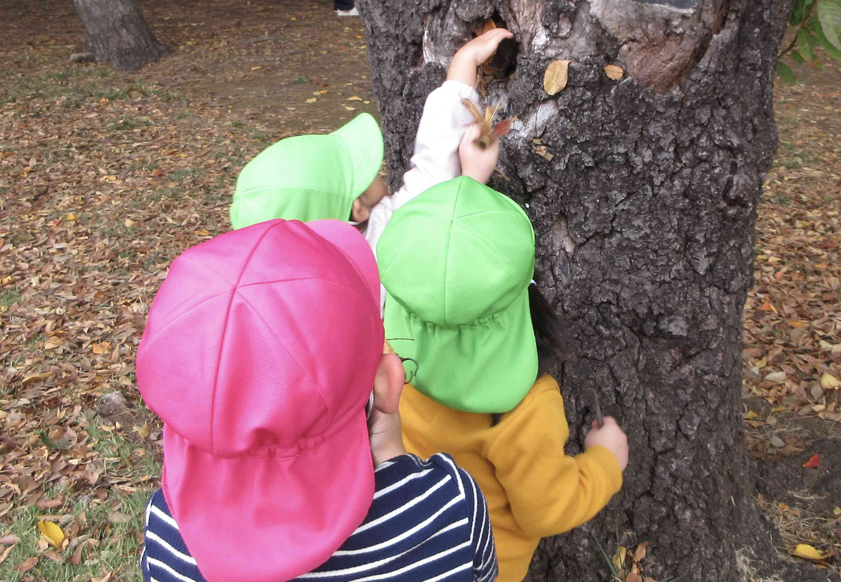 誰のおうちかな…？