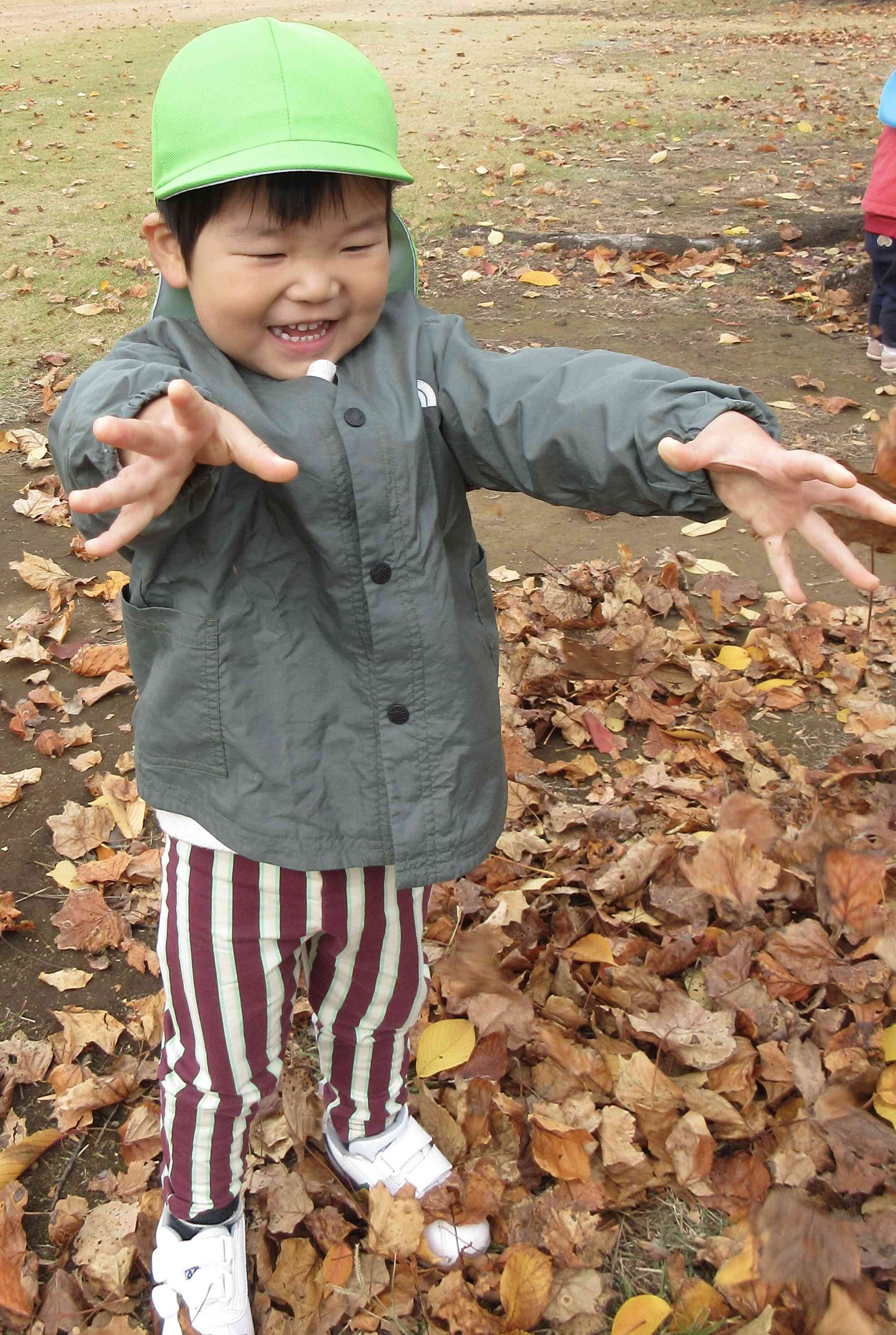 秋のお散歩♪(2歳児)