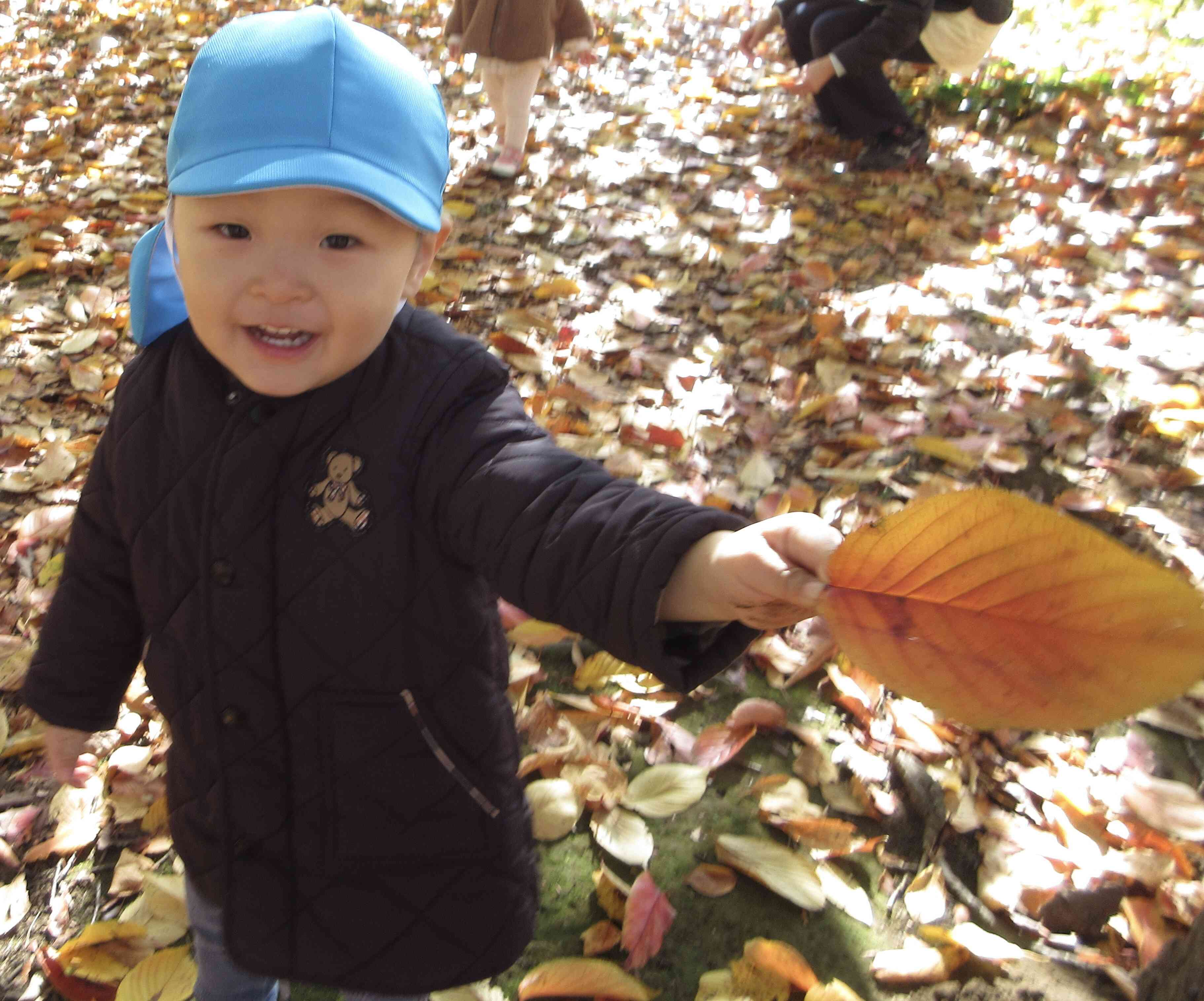 秋の散歩♪（一歳児）