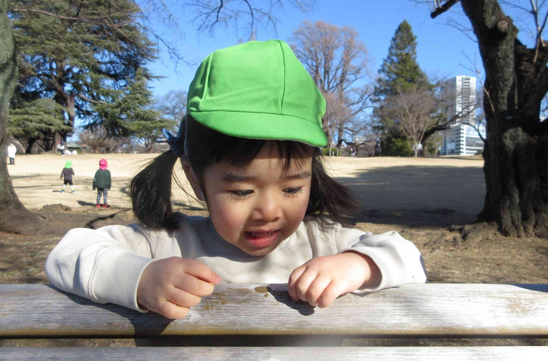 これ、なんだろう？