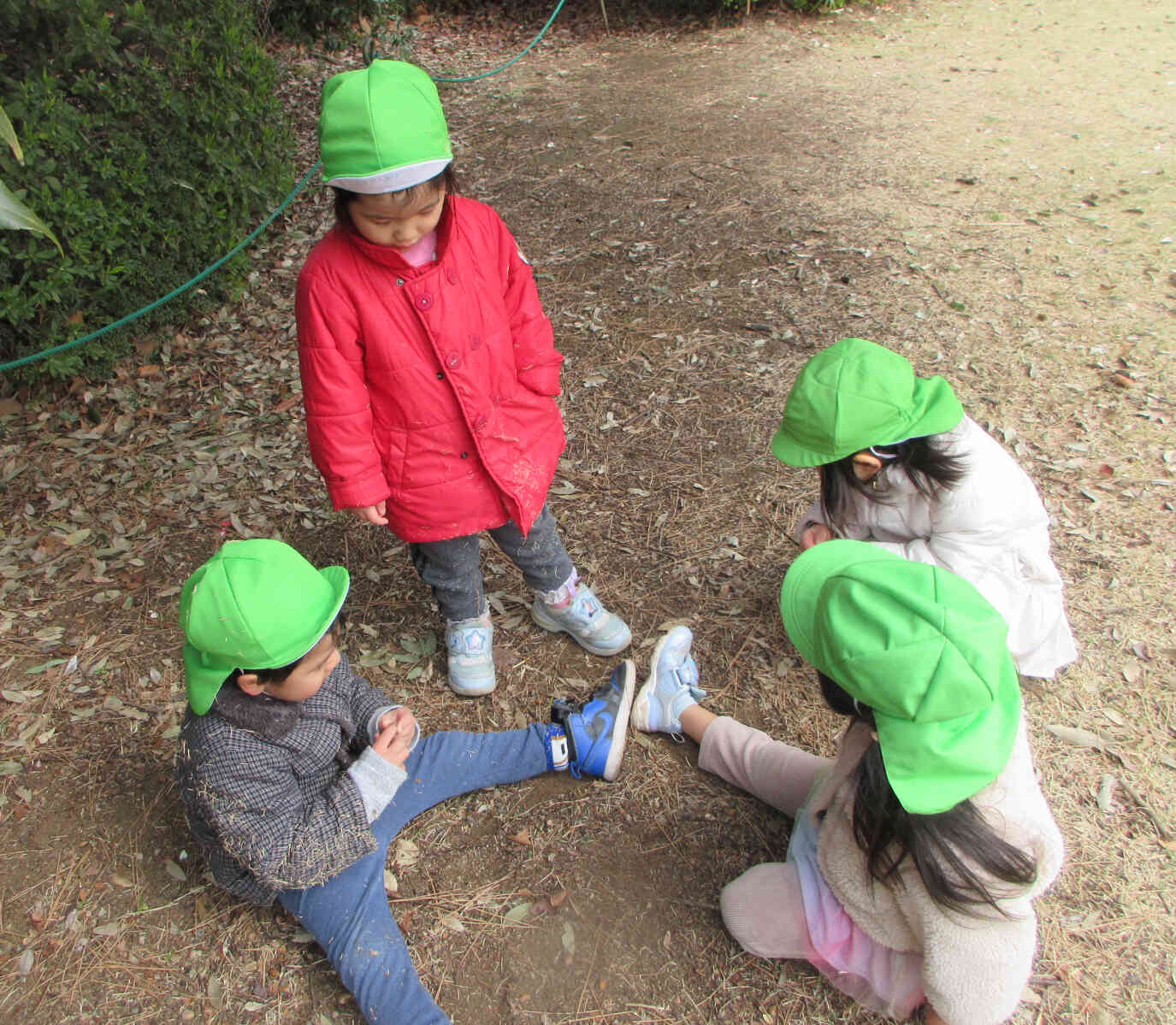 どんぐりかいぎ