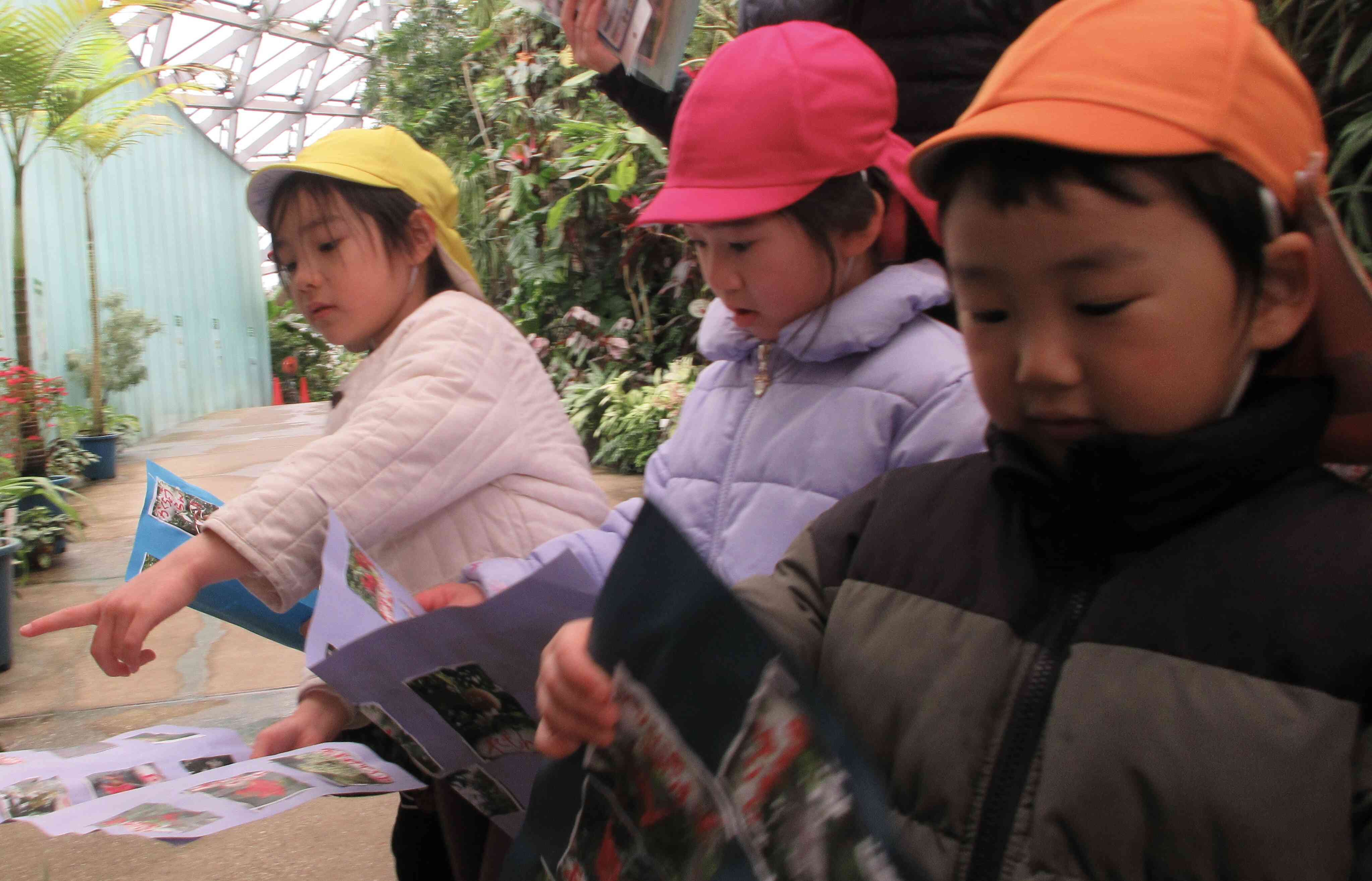 温室BINGO！3.4.5歳児