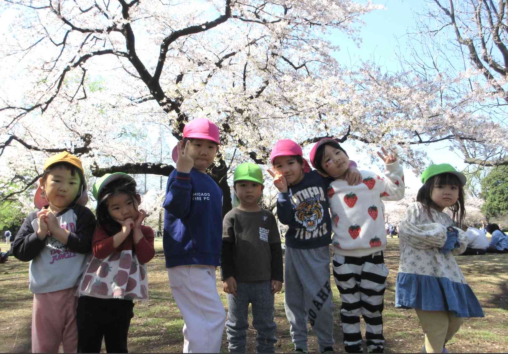 日々の遊びや学びの中で心と身体の成長を促し、 創造力や自己表現力を引き出し視野を広げます。