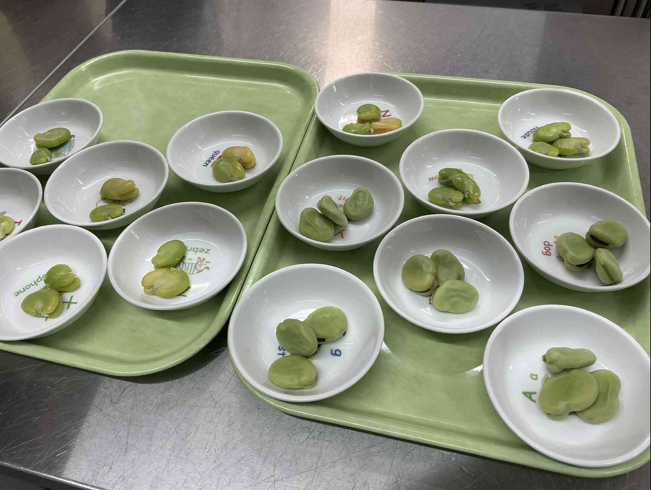 春のお野菜のそら豆
