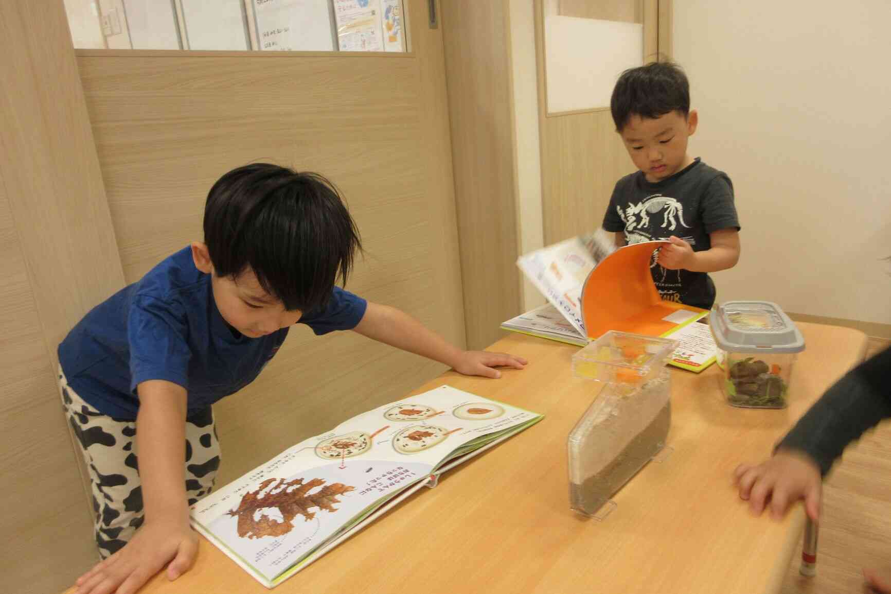 虫の観察をしてみよう