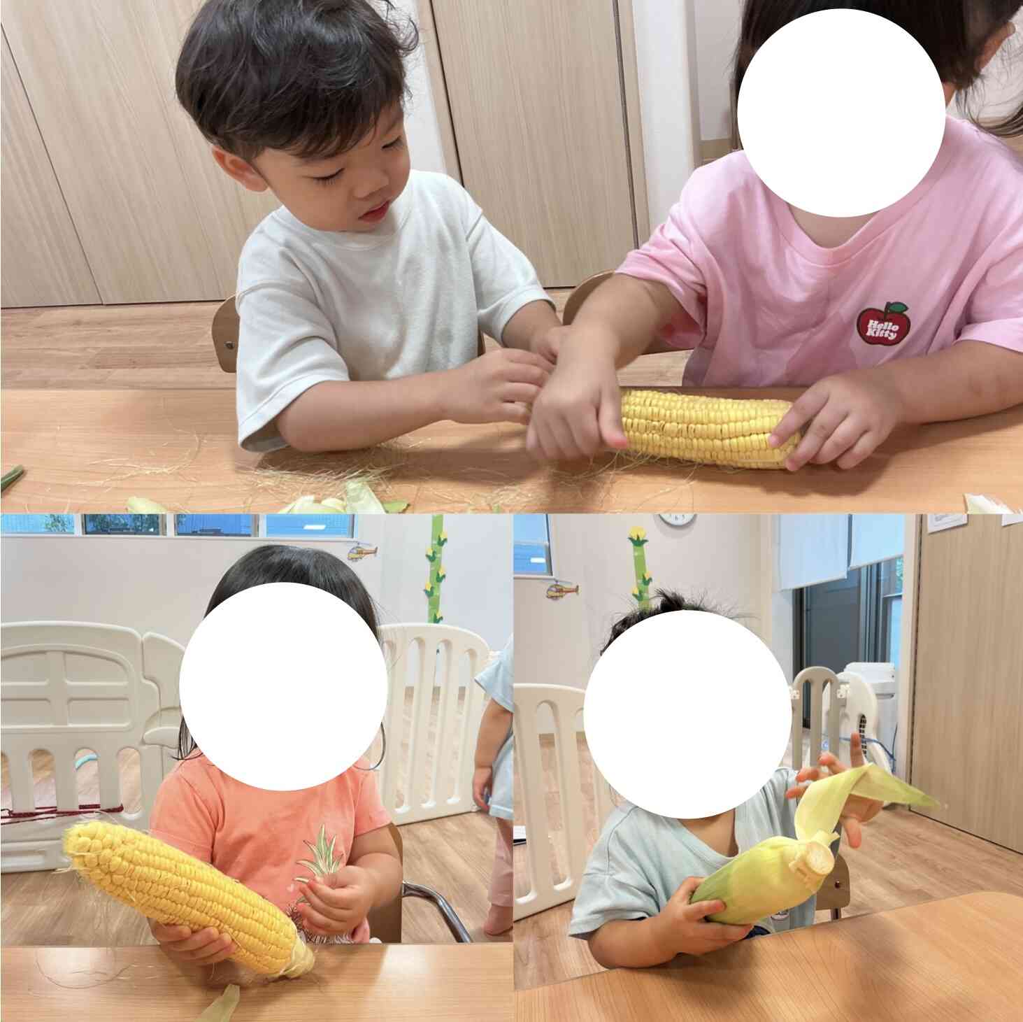 食育活動⭐︎とうもろこしの皮むき