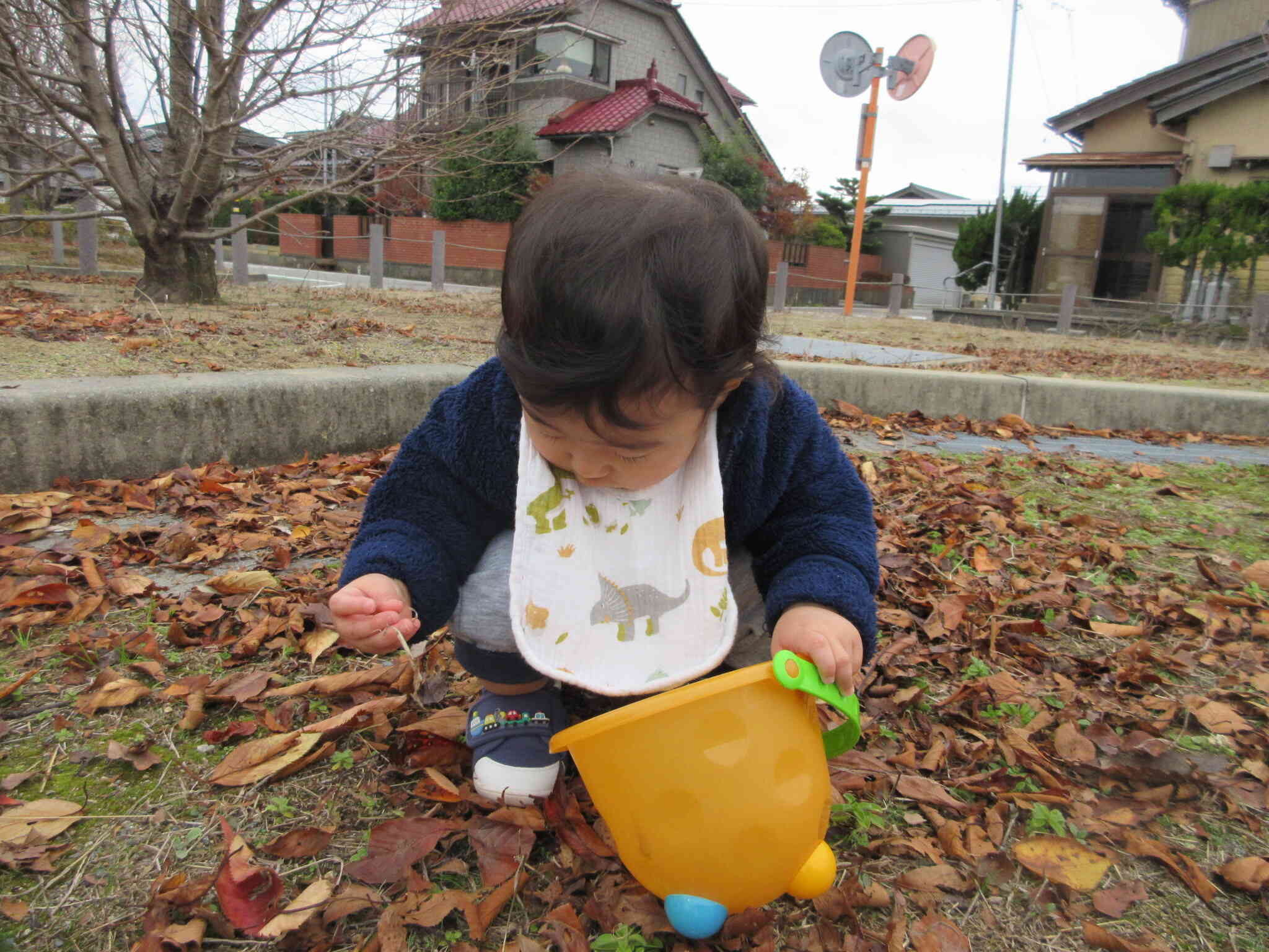 11月　きぼう組　お散歩